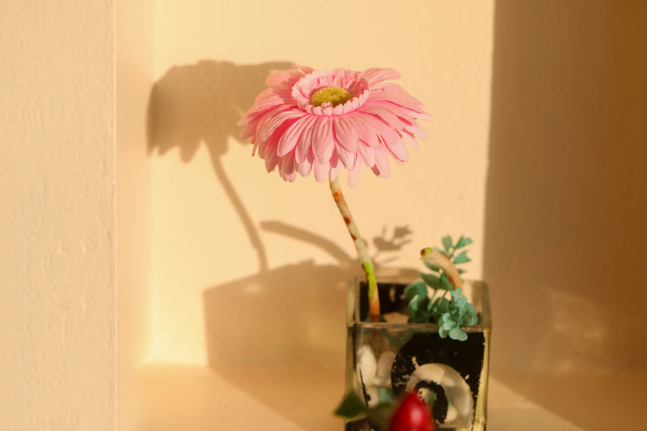 Double Deluxe King Bed