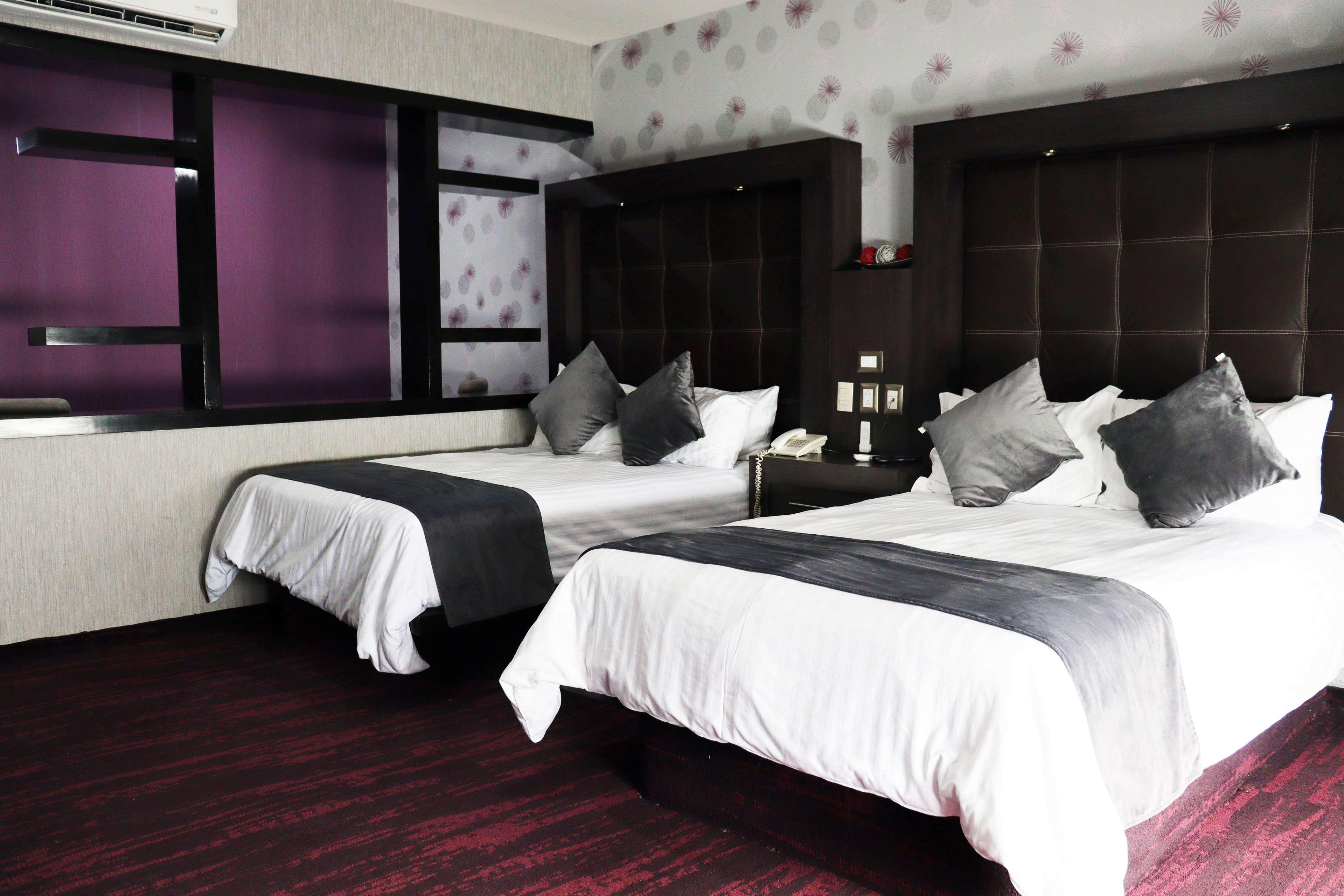Suite Two Double Beds
