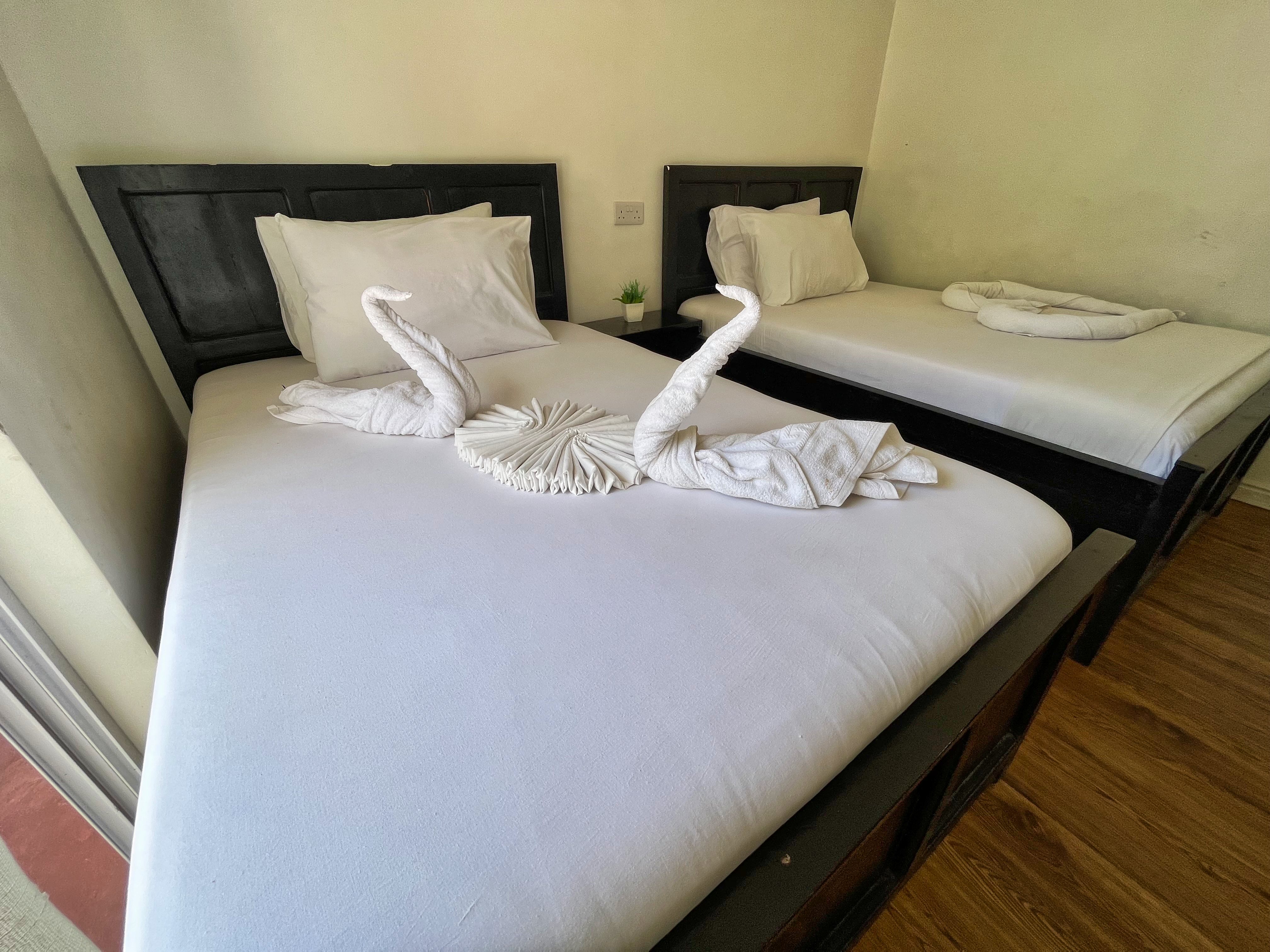 Double or Twin Standard