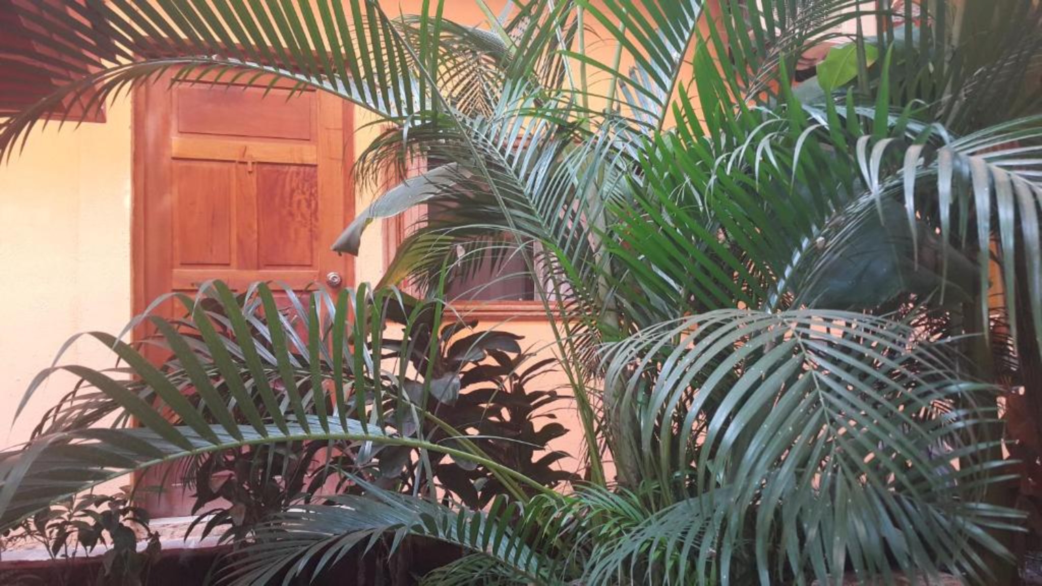 Quadruple Three Beds