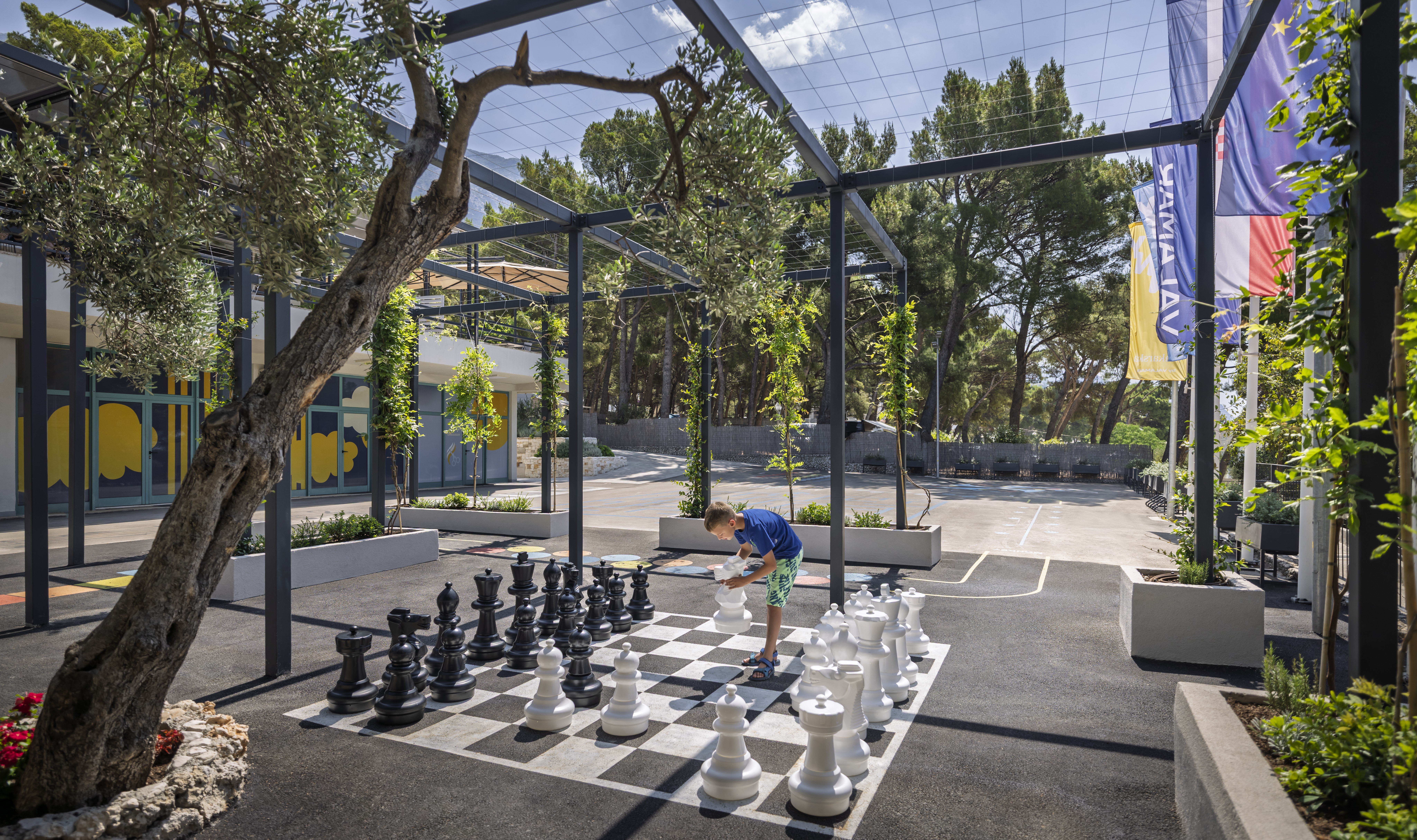 Sports and Entertainment