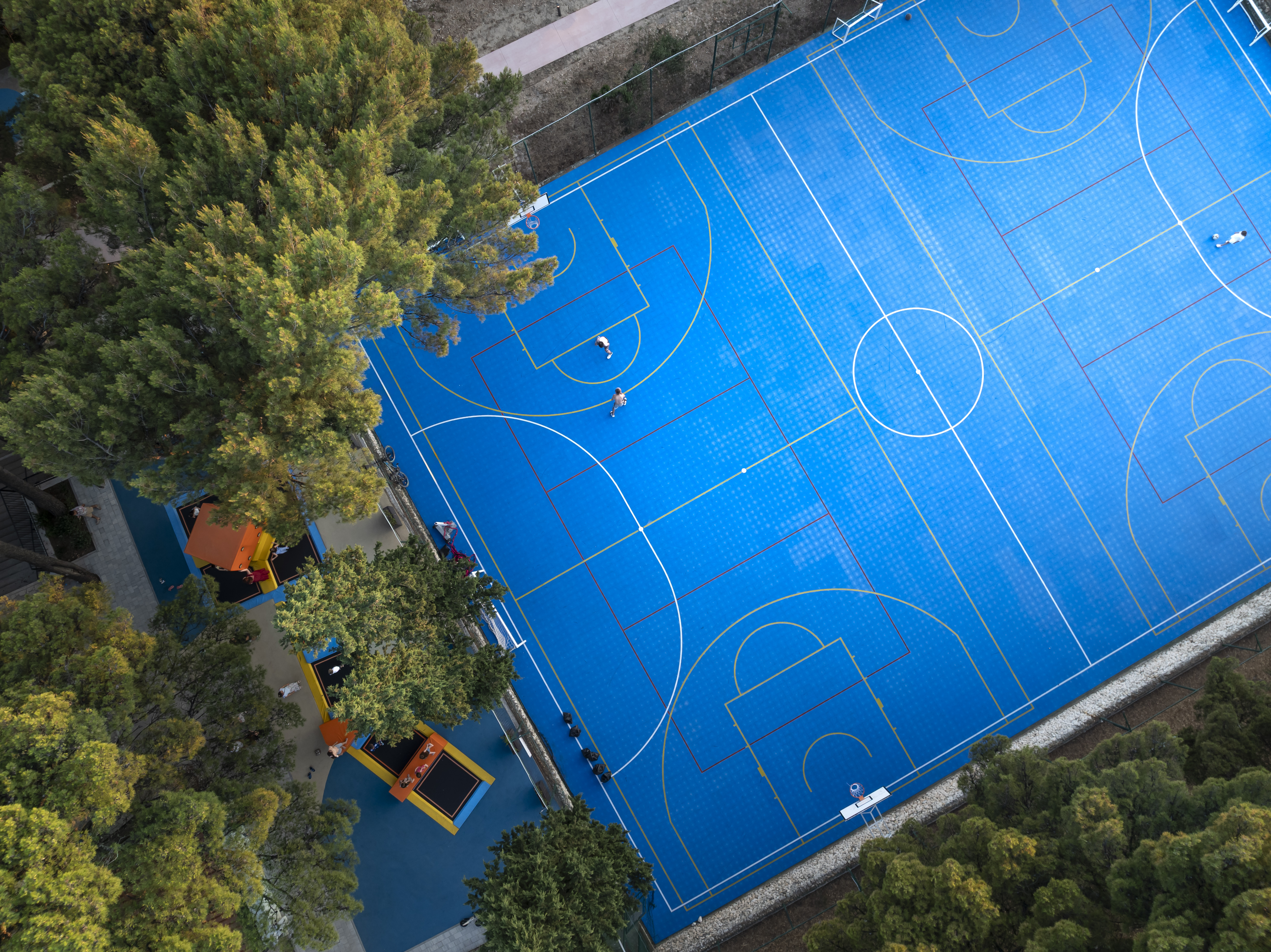 Sports and Entertainment