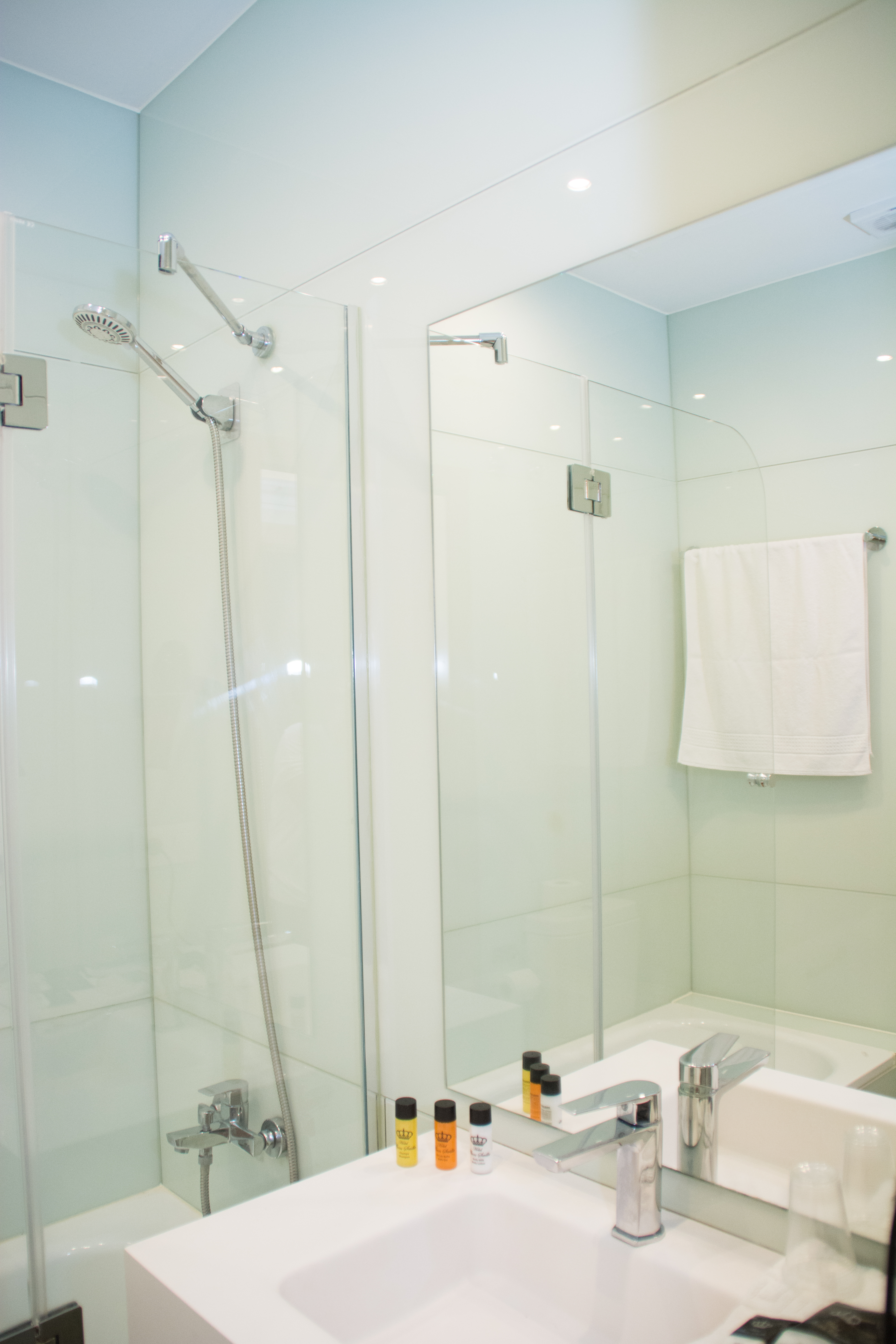 Double or Twin Economy