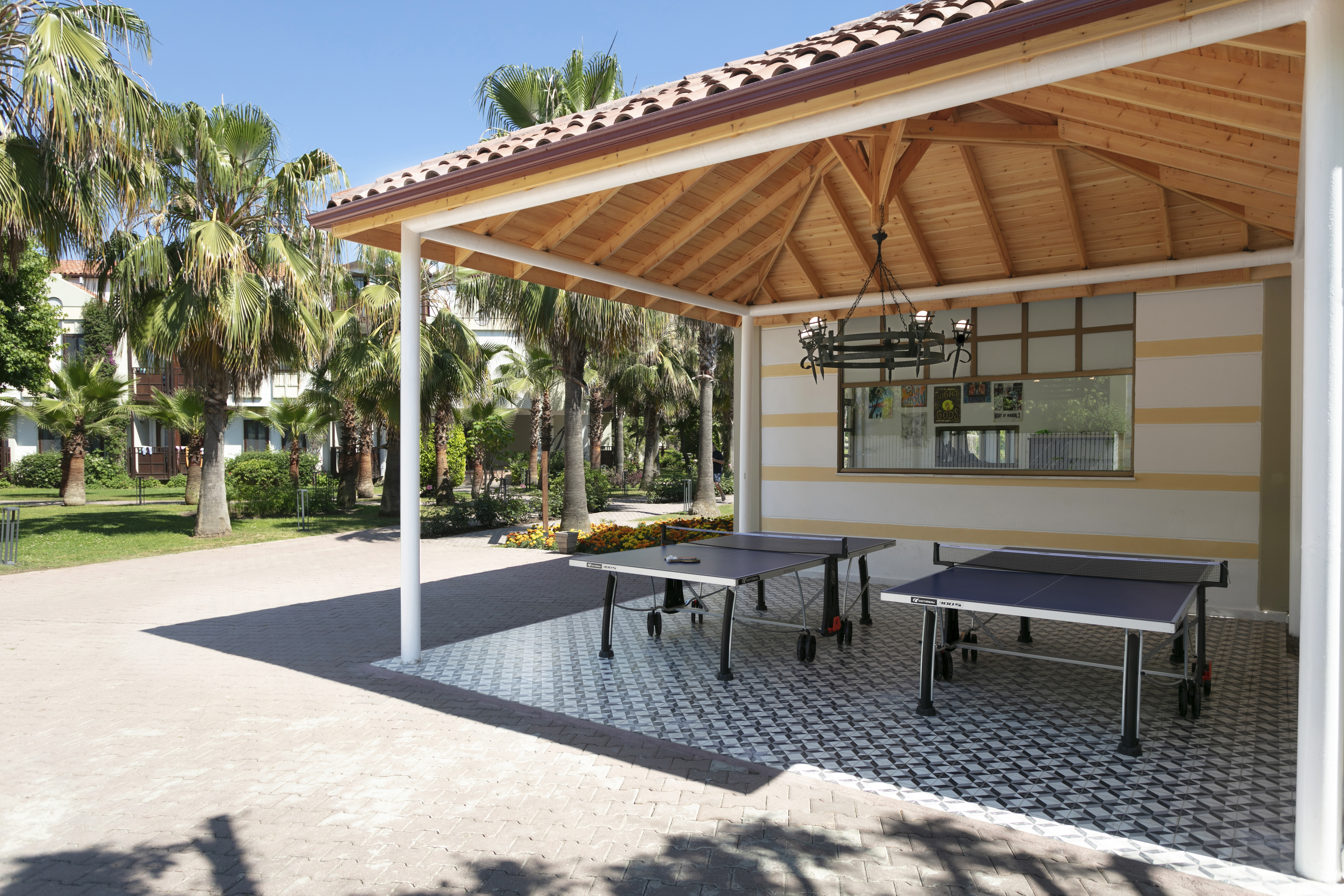 Sports and Entertainment