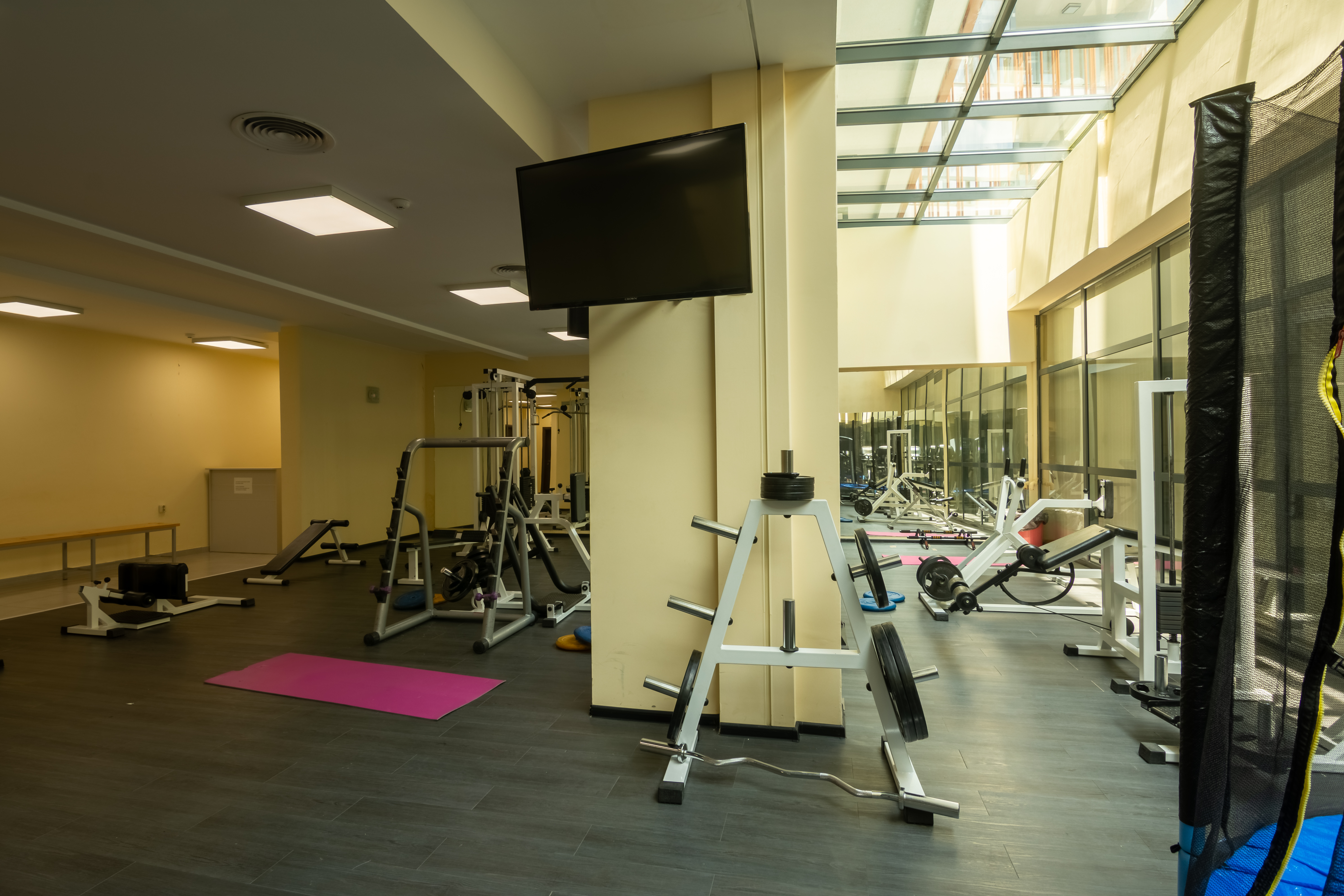 Sports and Entertainment