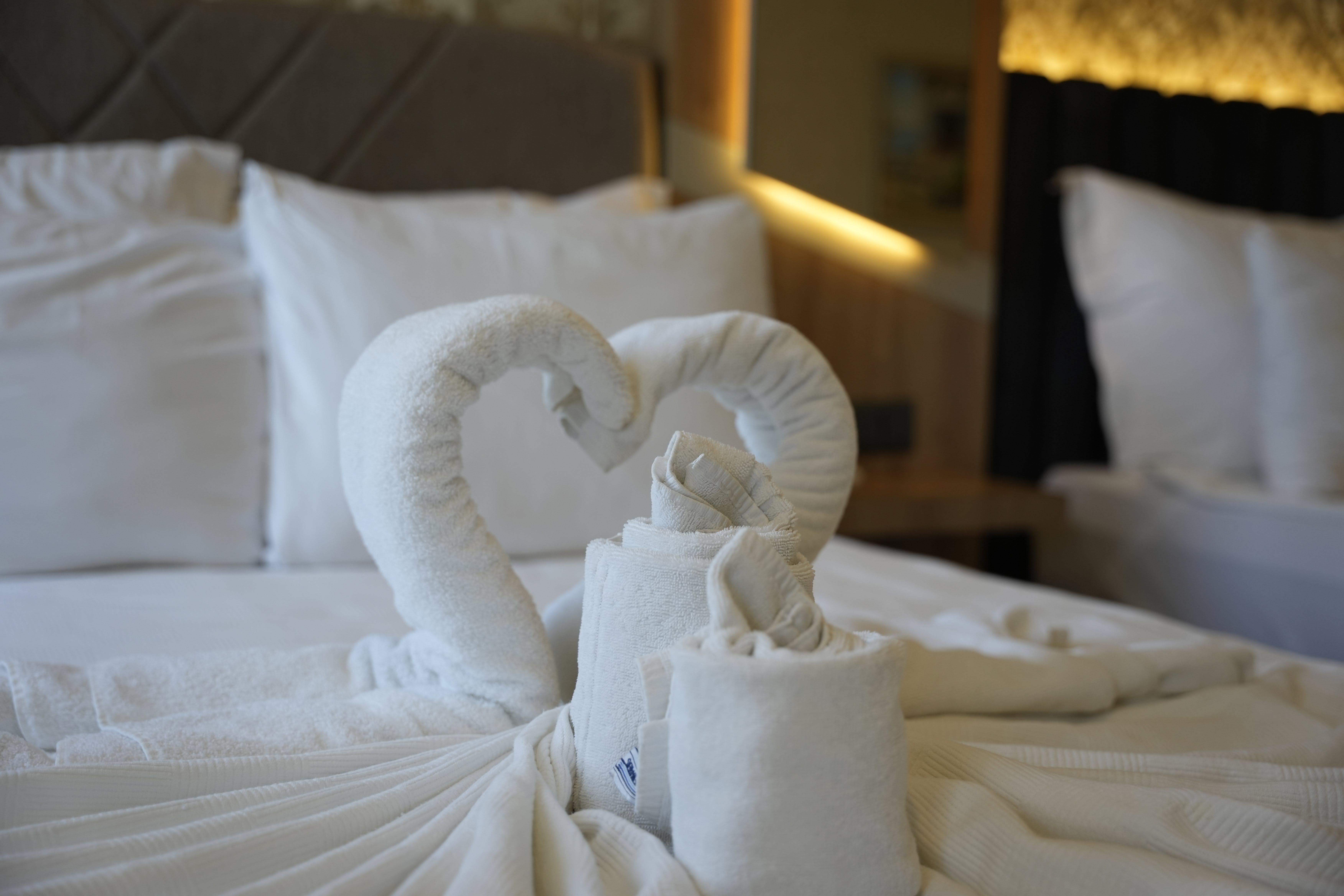 Double or Twin Deluxe Garden View