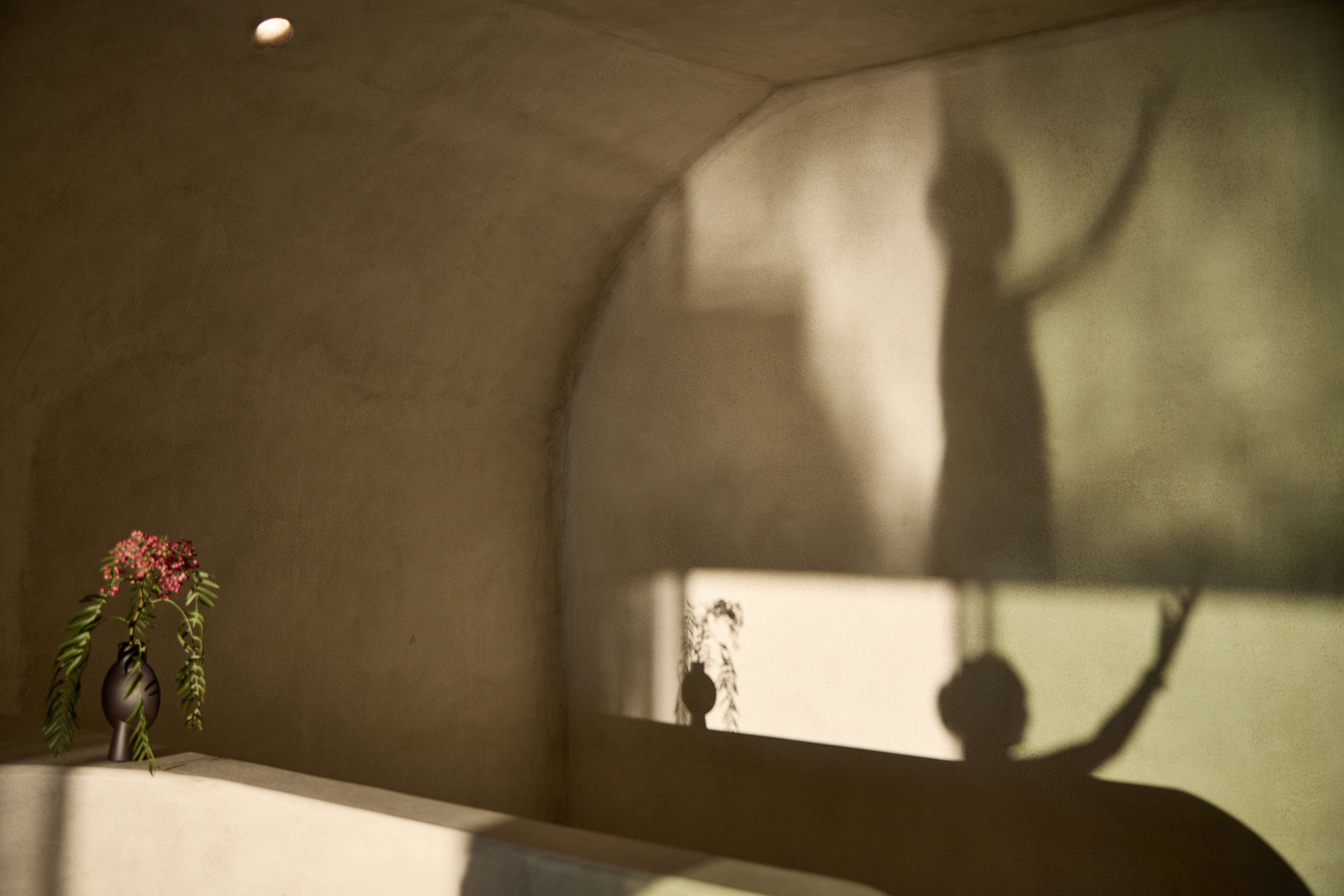 Suite with Private Pool