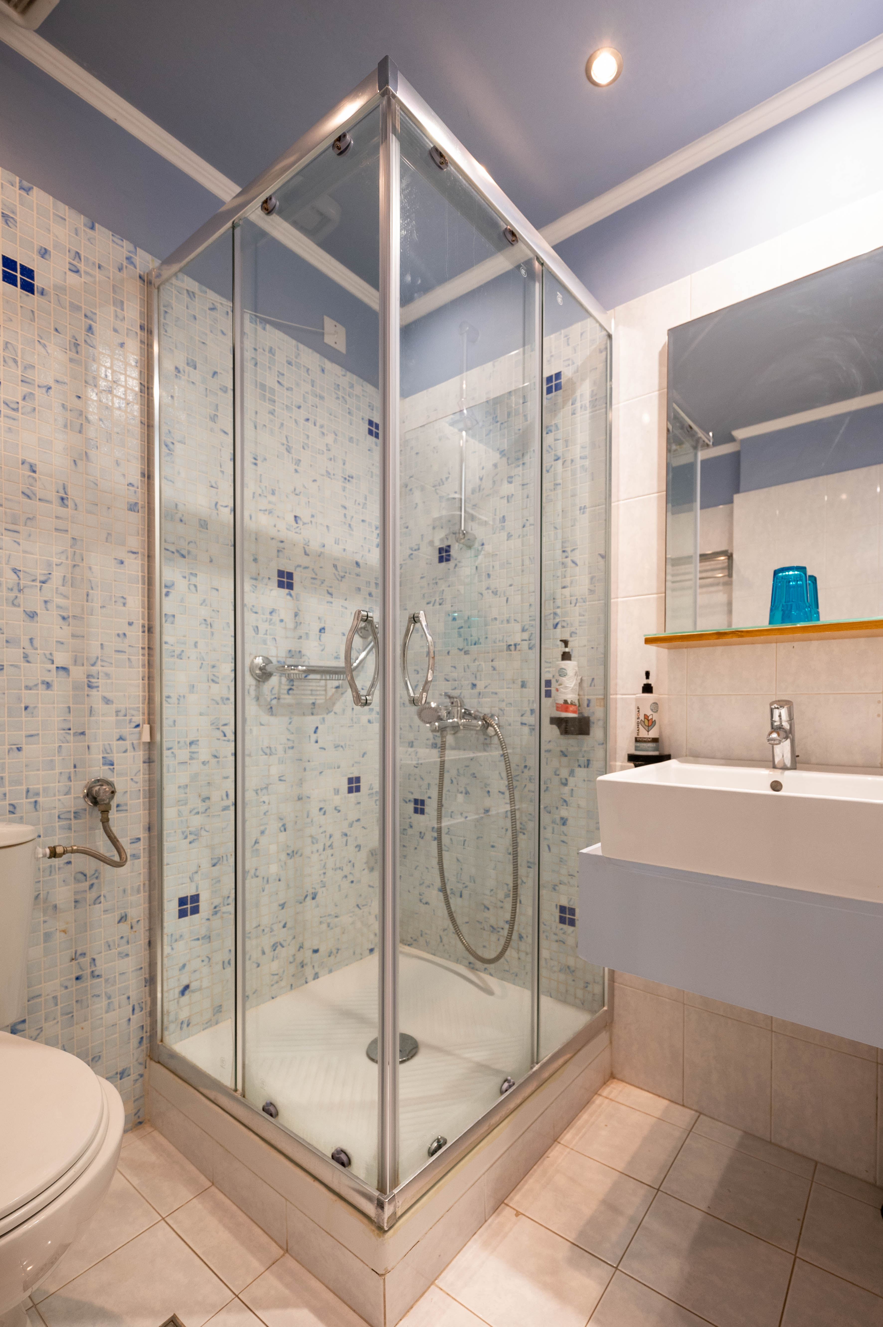 Double or Twin Economy