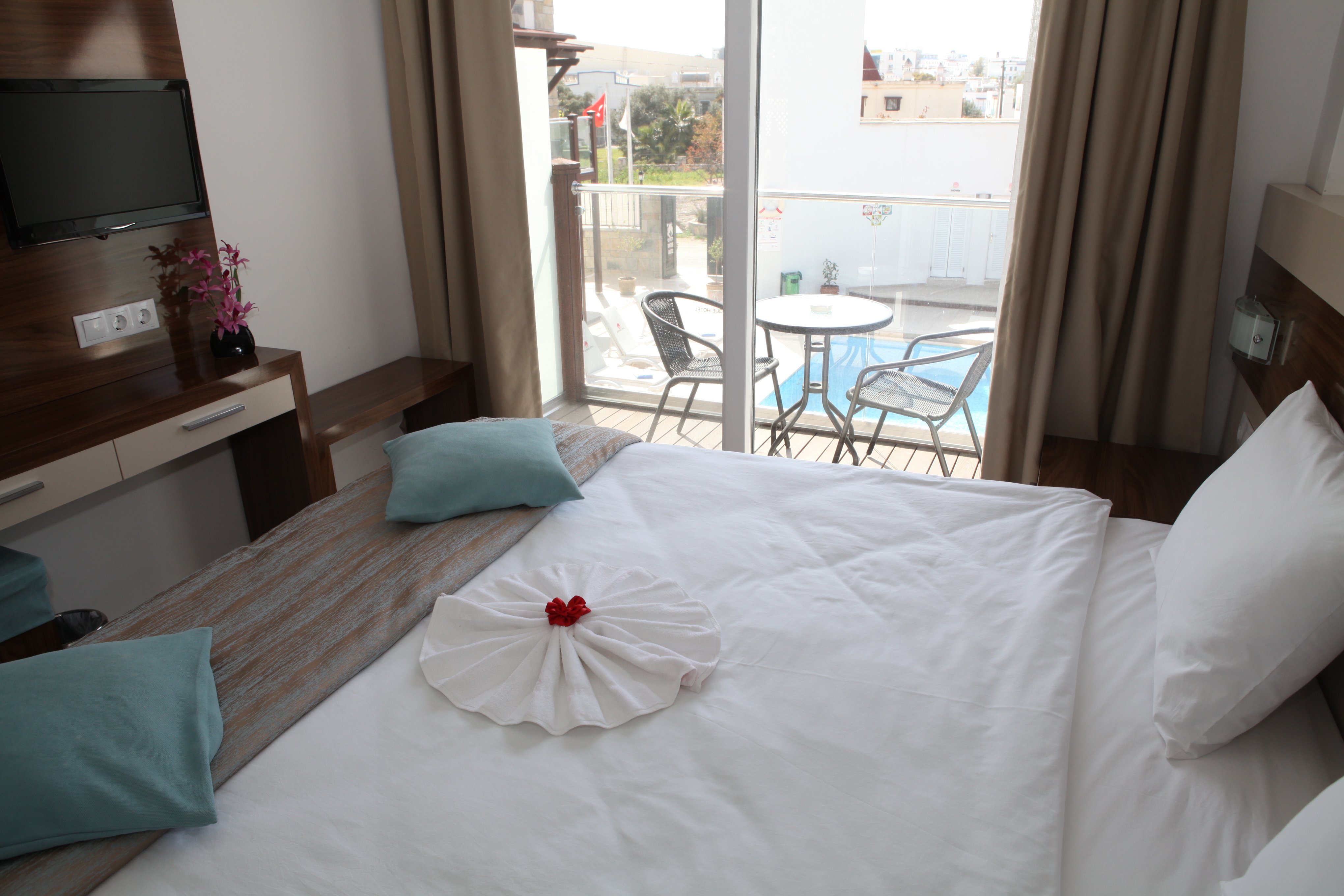 Double or Twin Standard