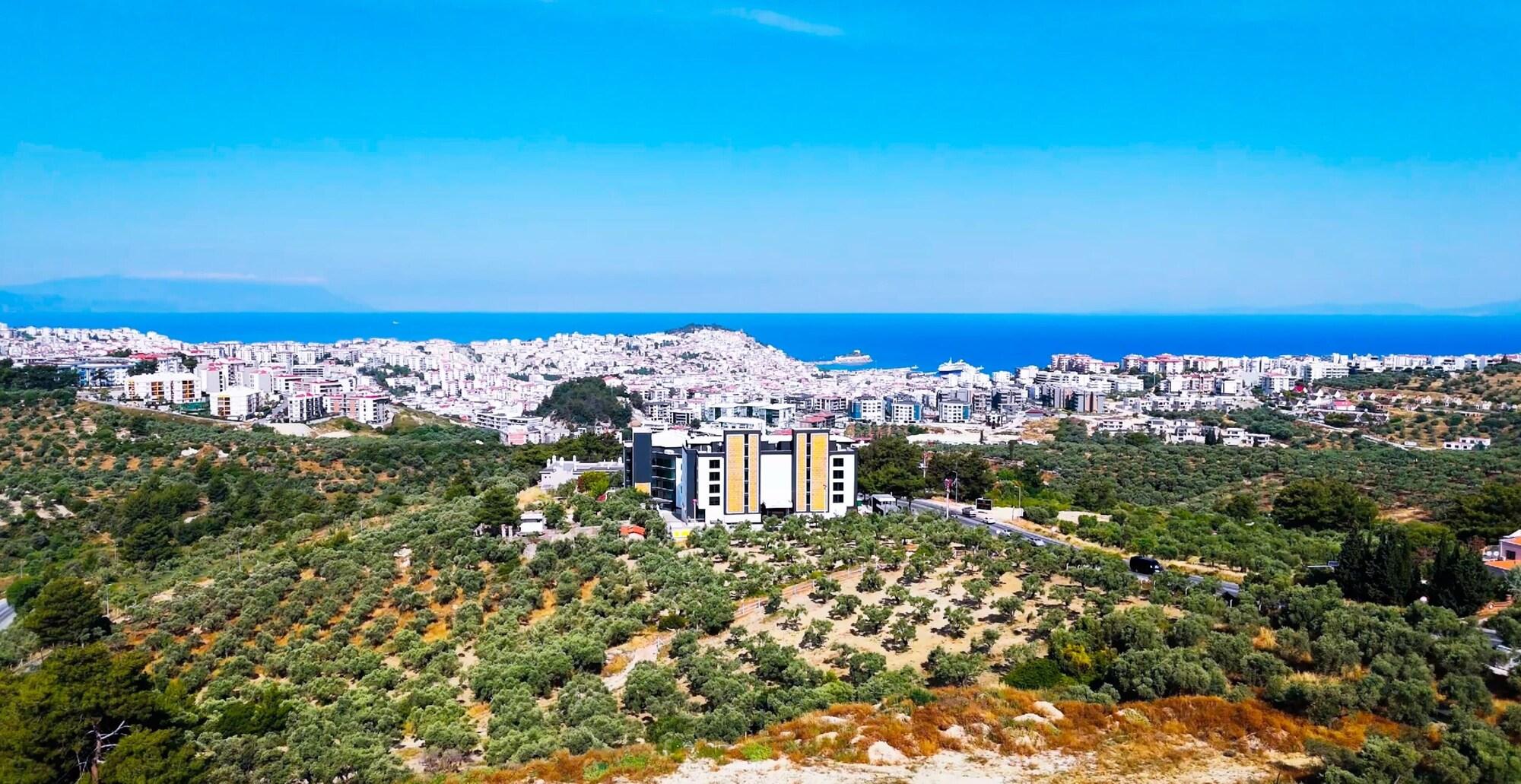 General View