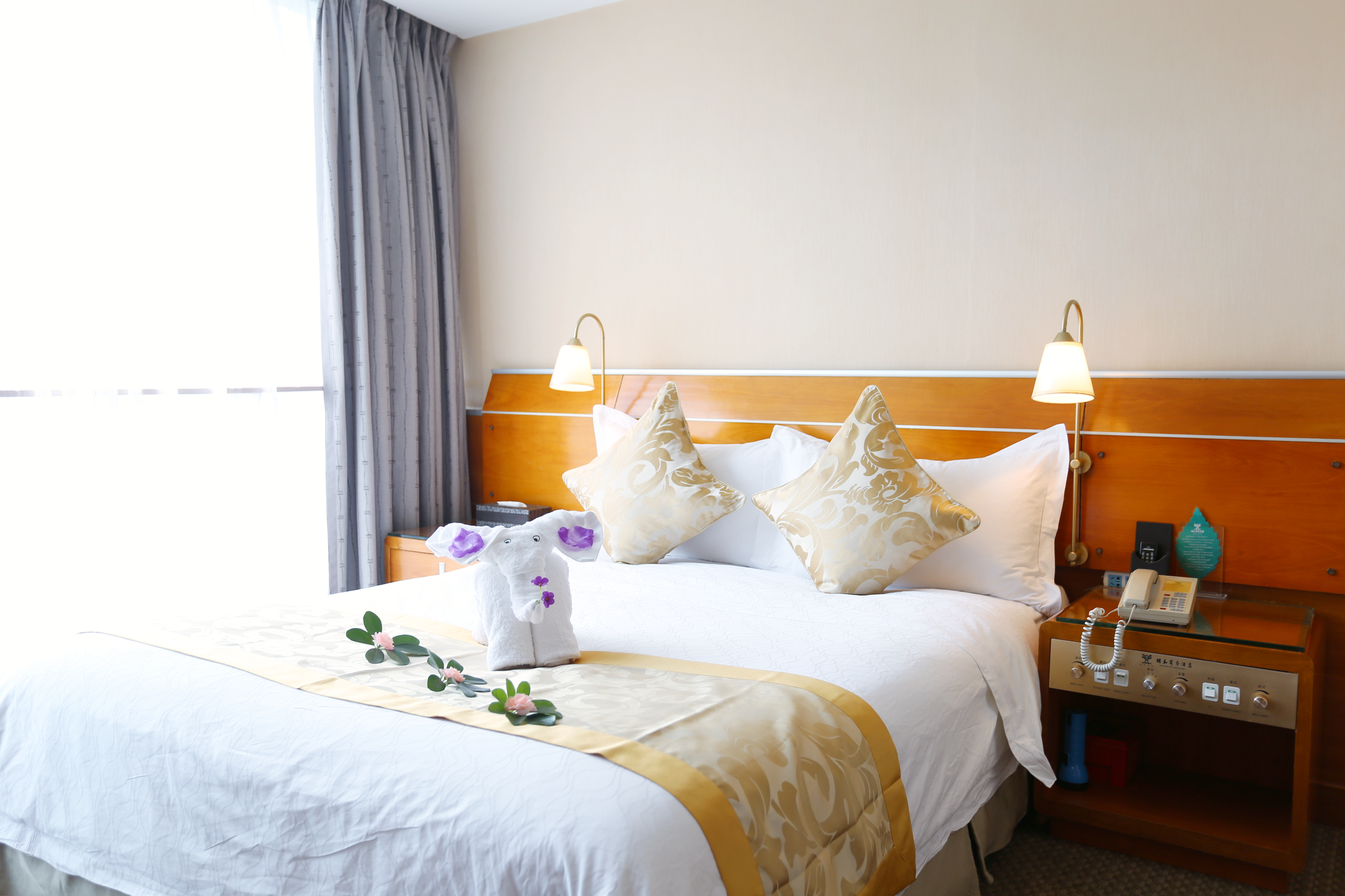 Double or Twin Superior