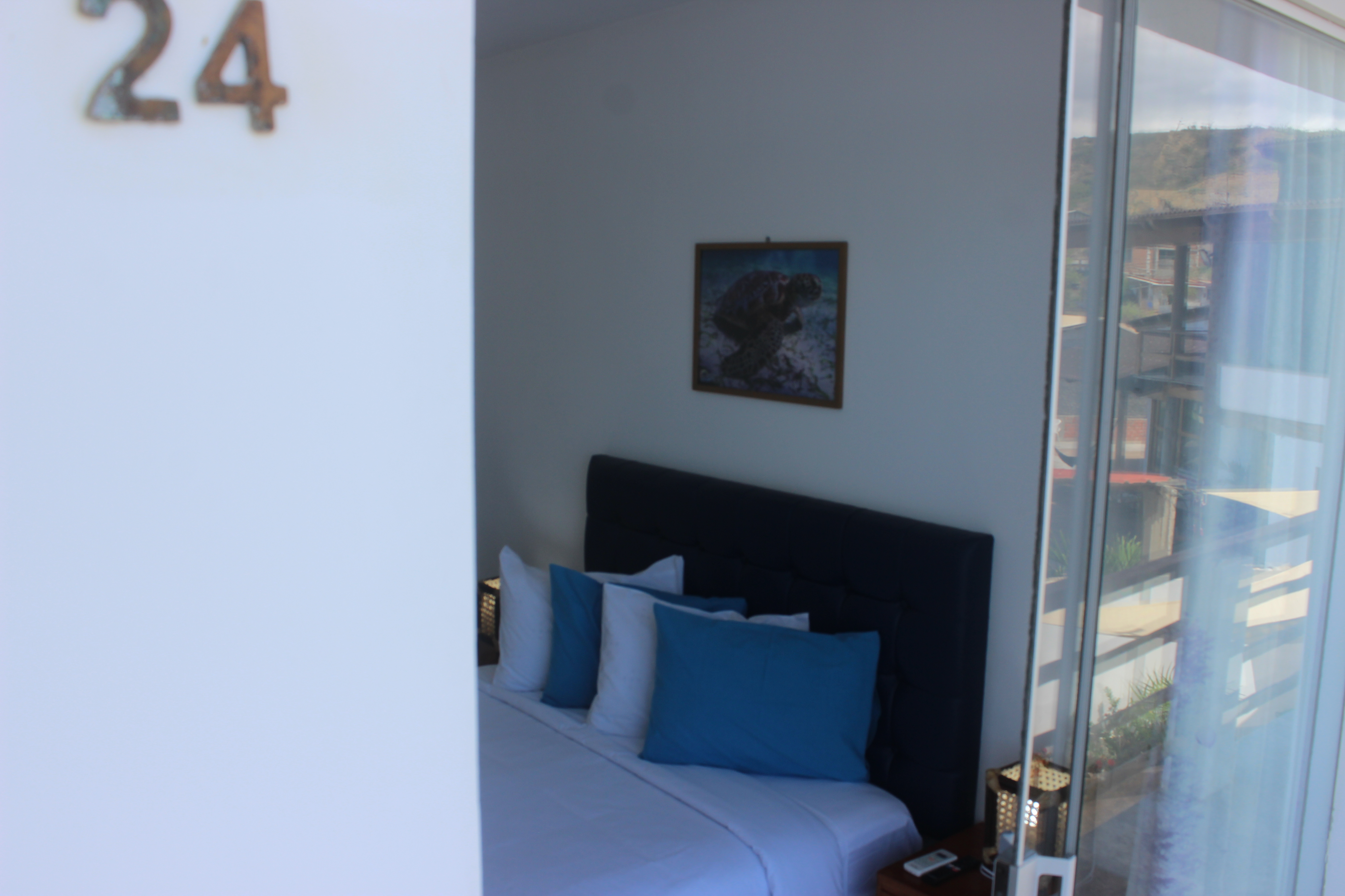 Junior Suite One Bedroom One Bathroom