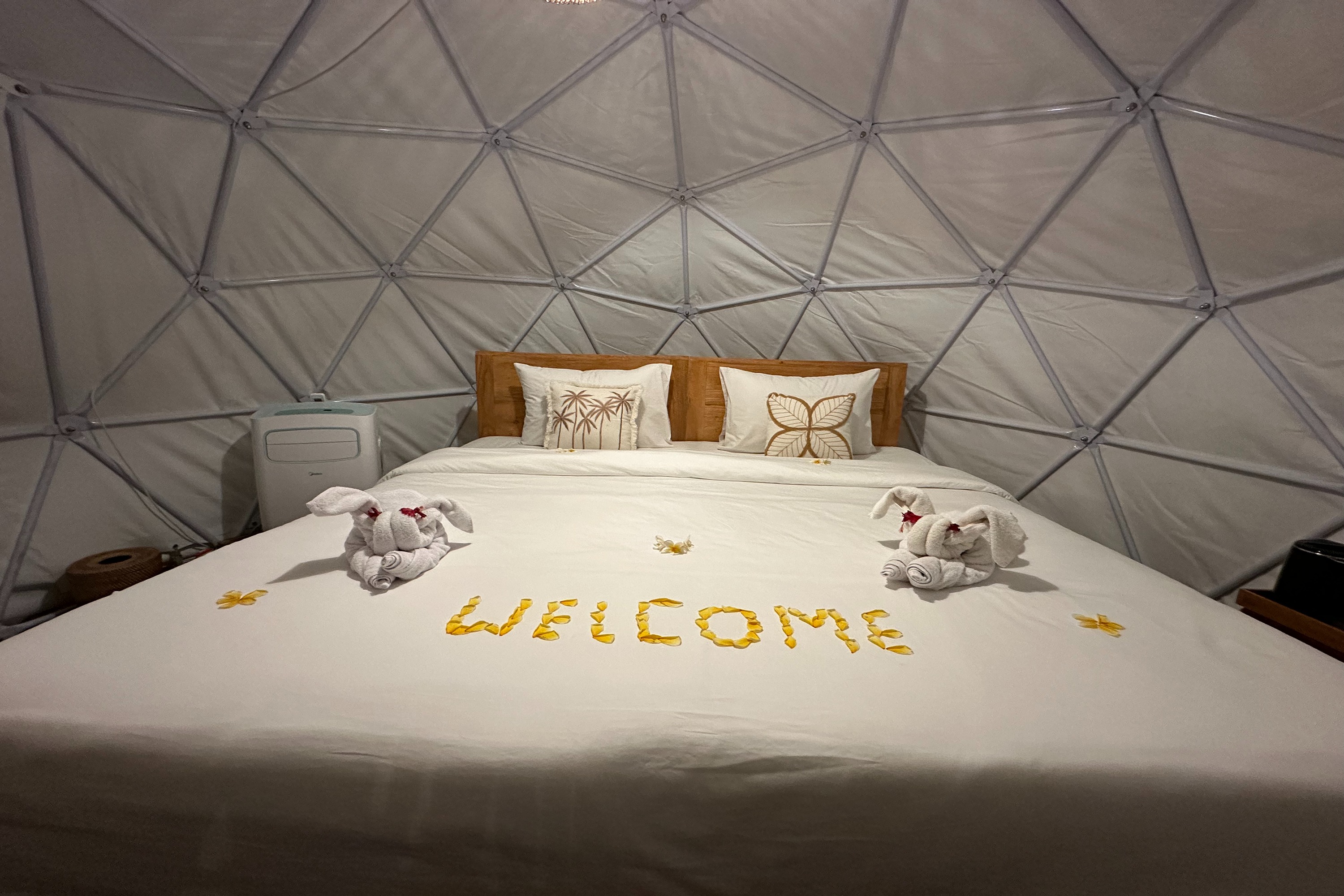 Family Room King Size Bed