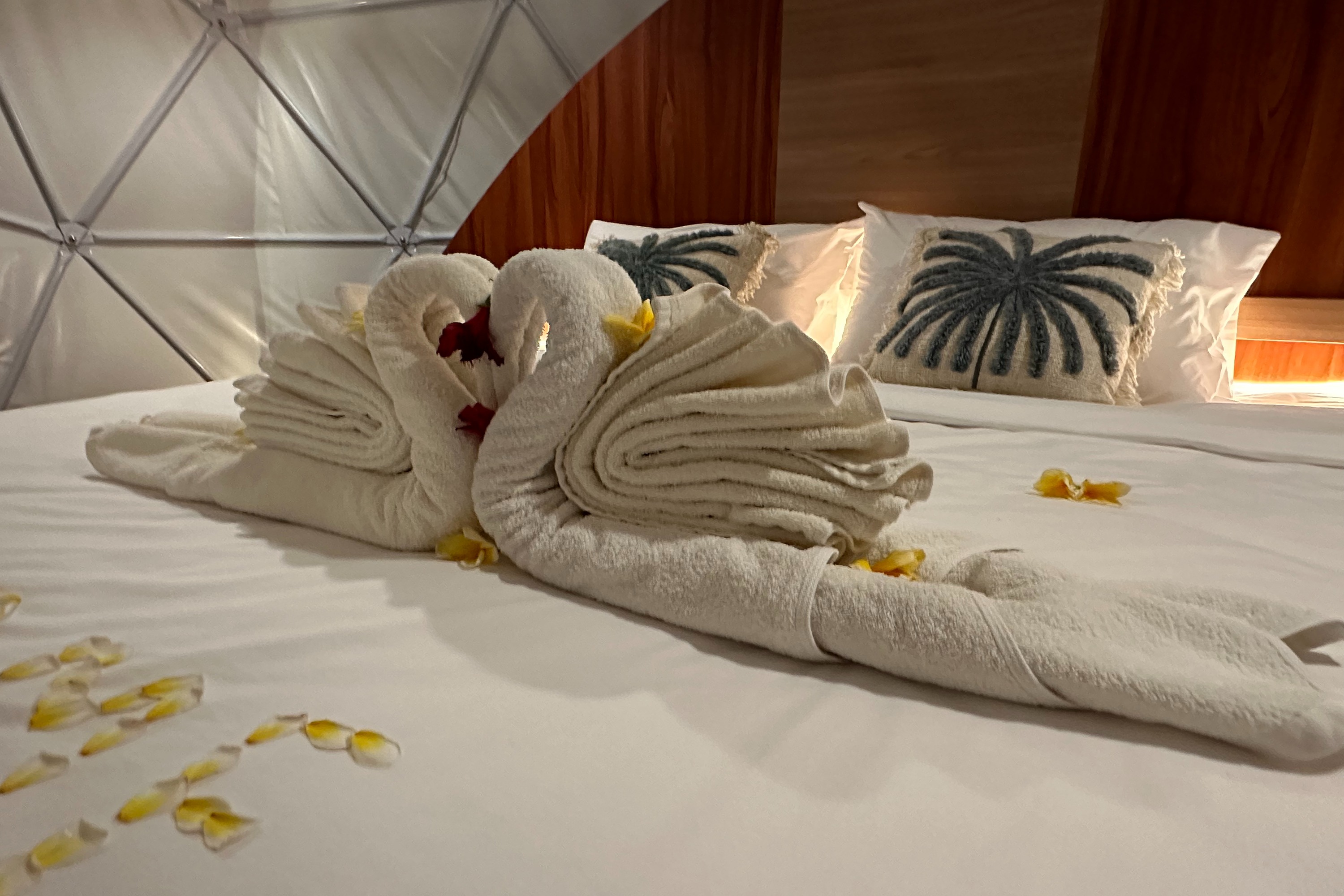 Family Room King Size Bed