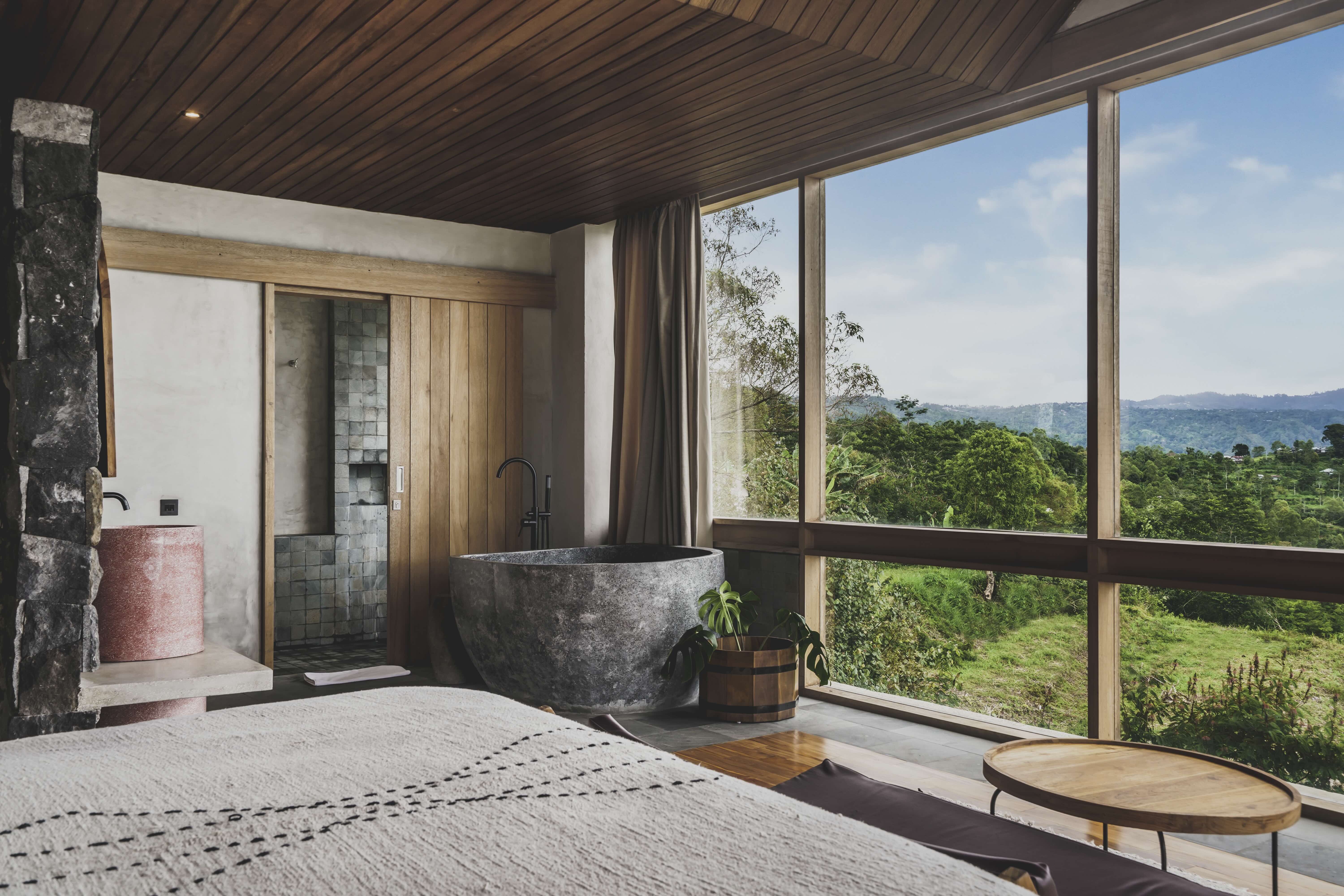 Suite Mountain View