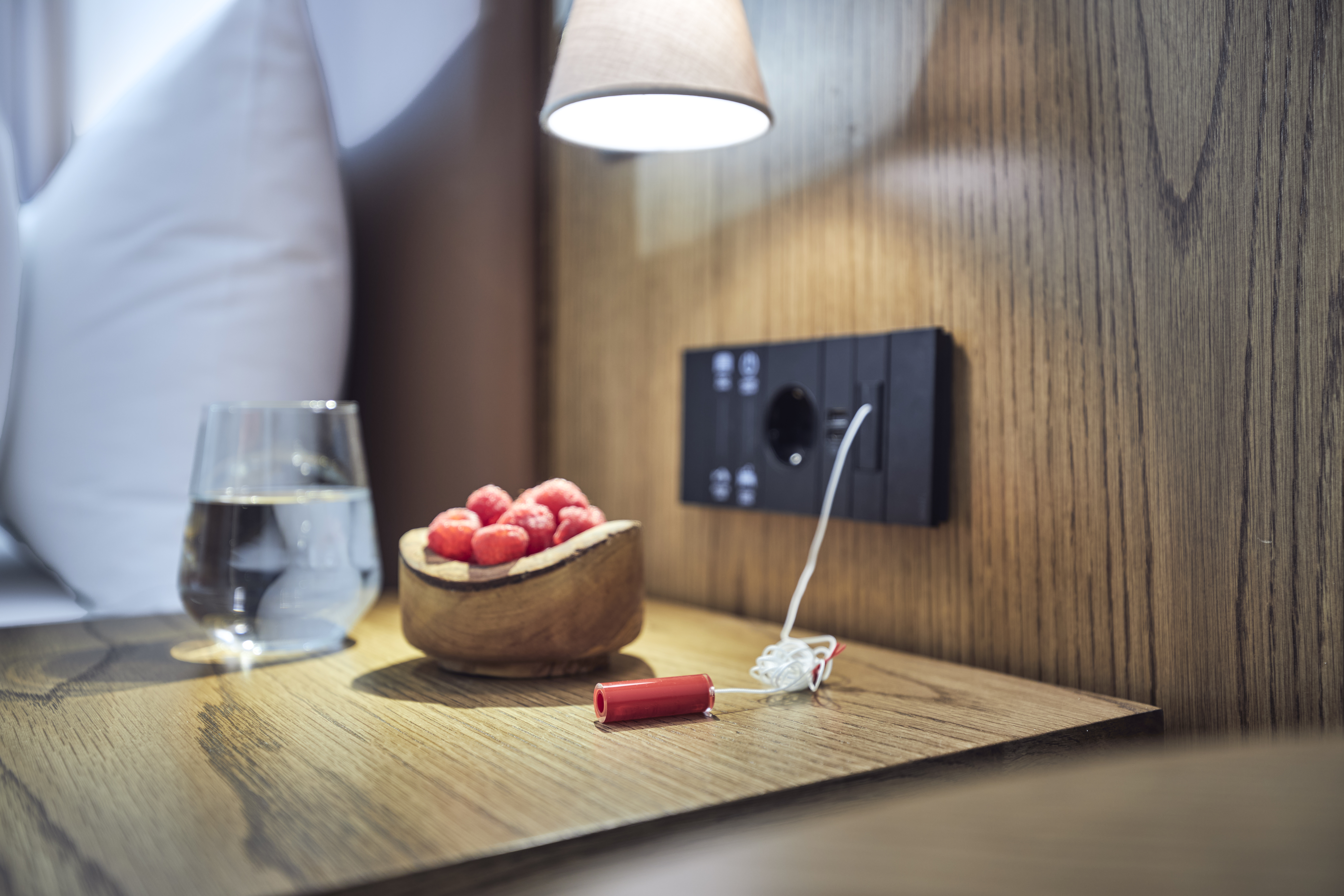 Double Accessible King Size Bed