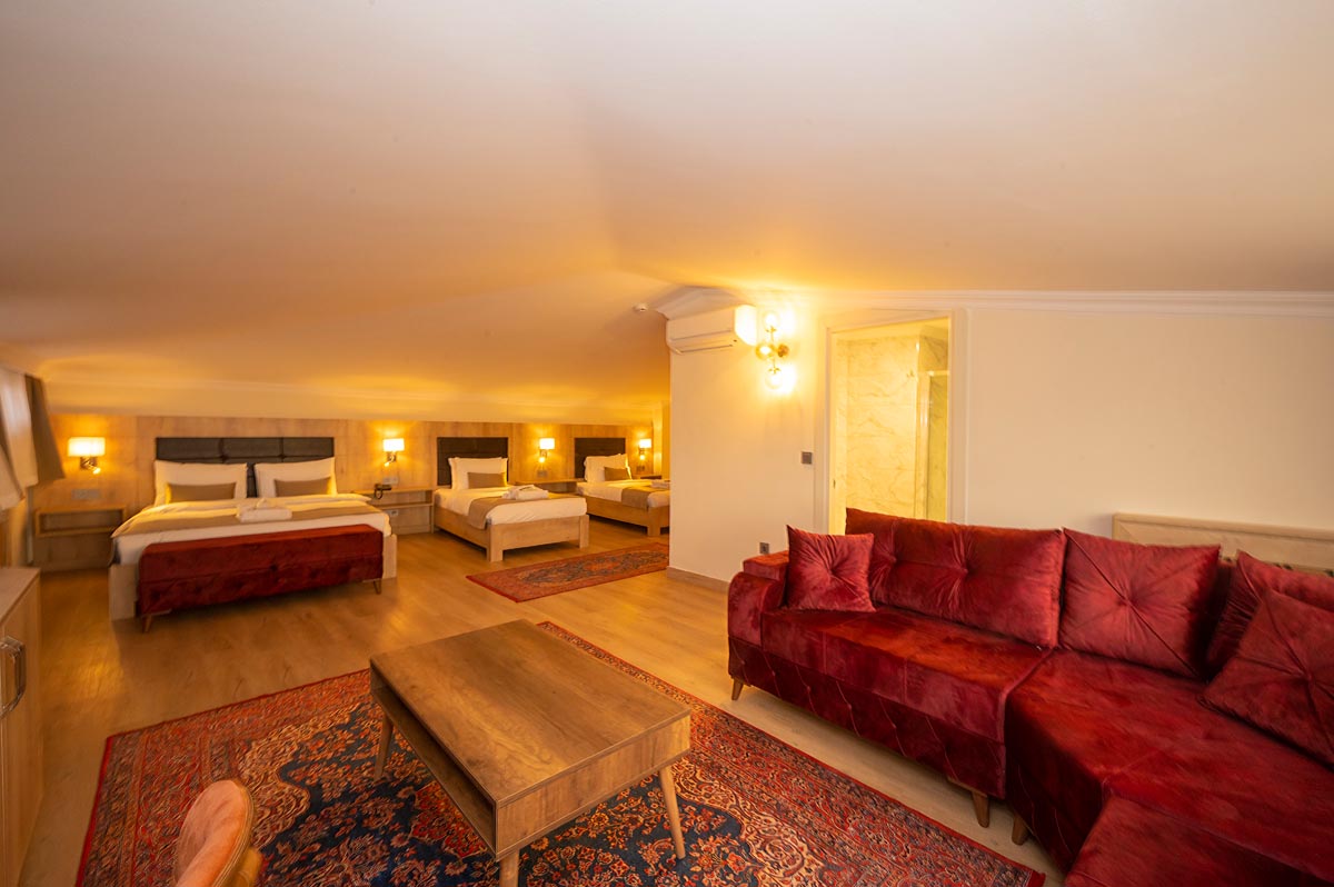 Junior Suite Accessible Premier Room