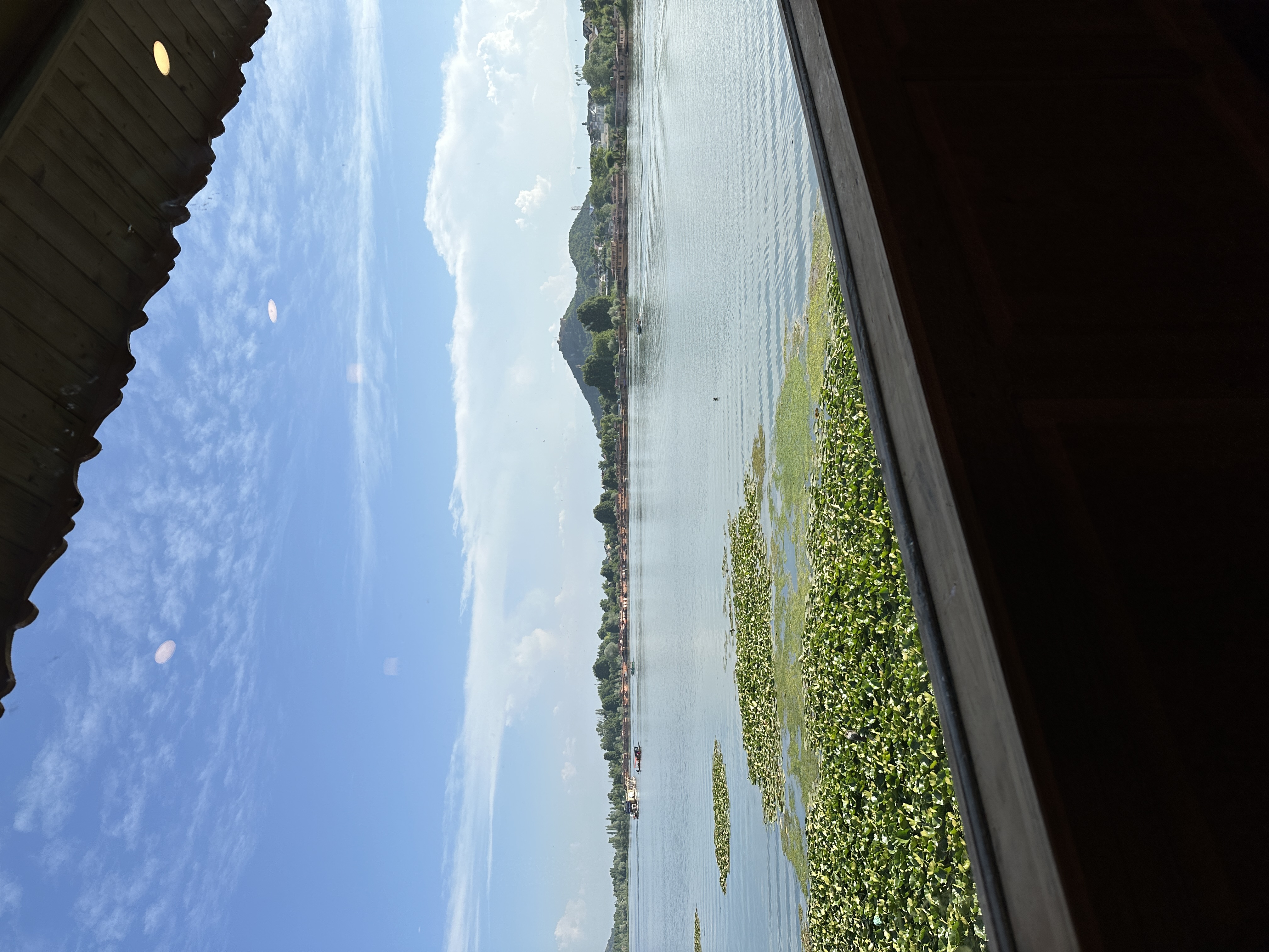 Suite King Bed One Bedroom 