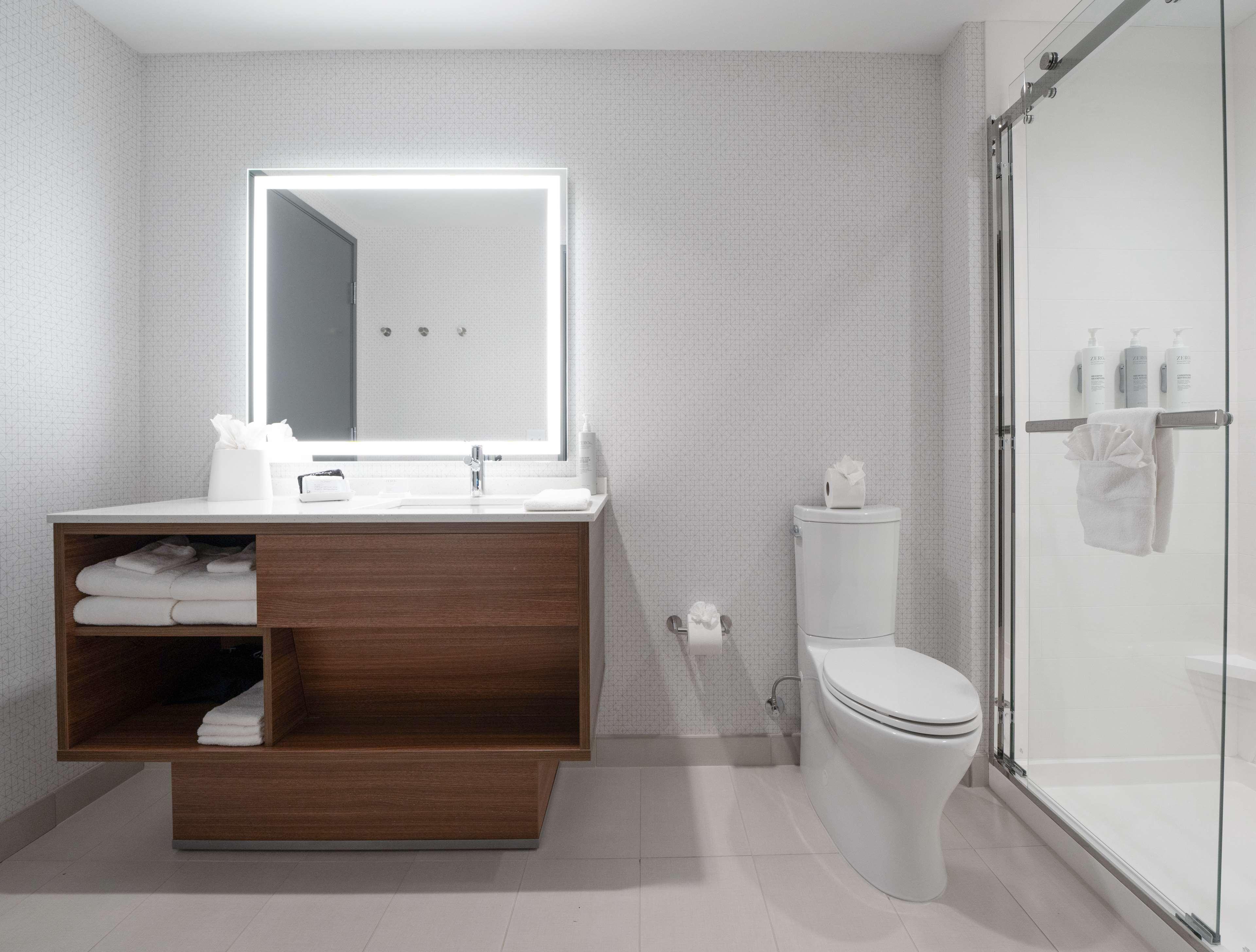 Suite King Bed One Bedroom 