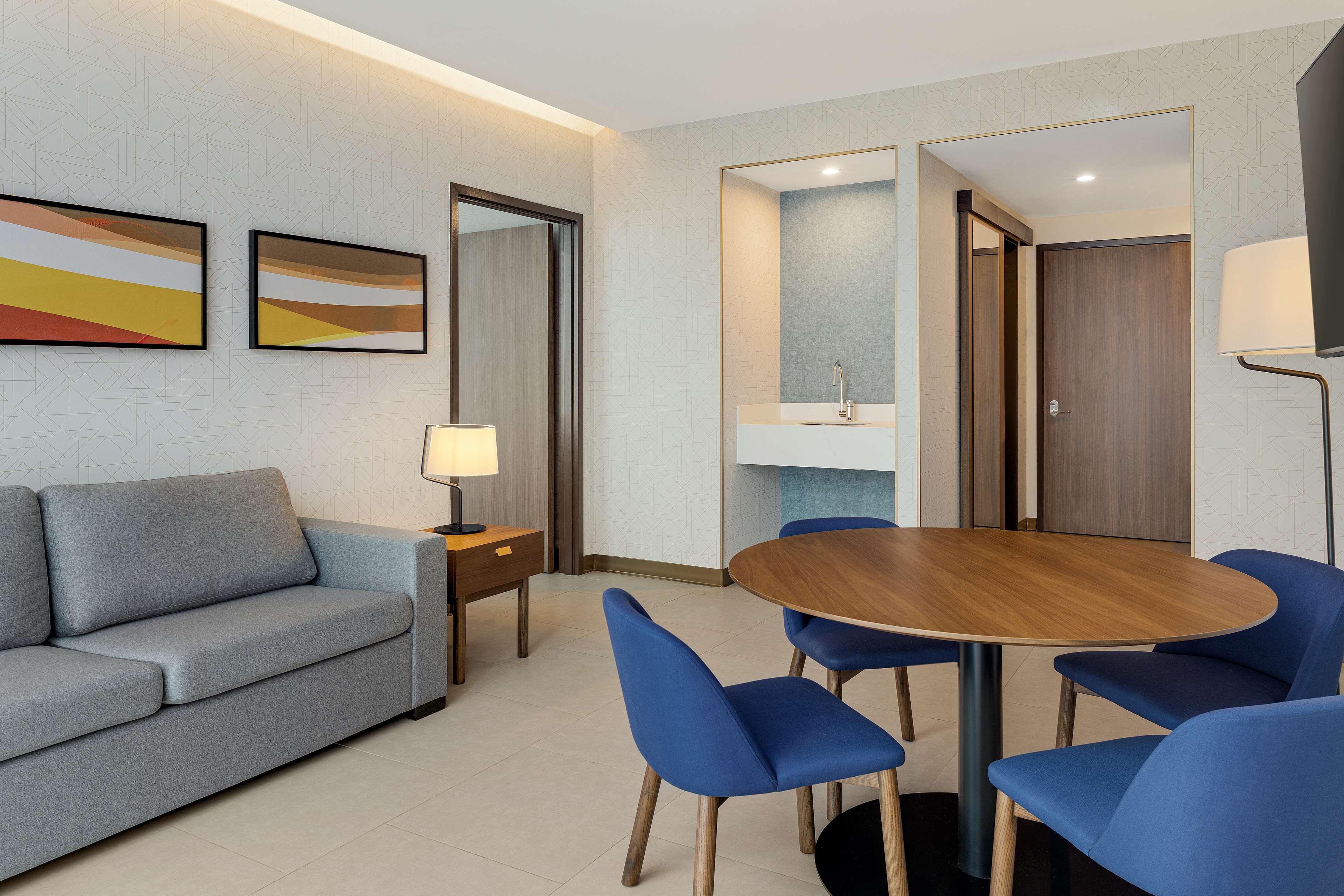 Suite King Bed One Bedroom 