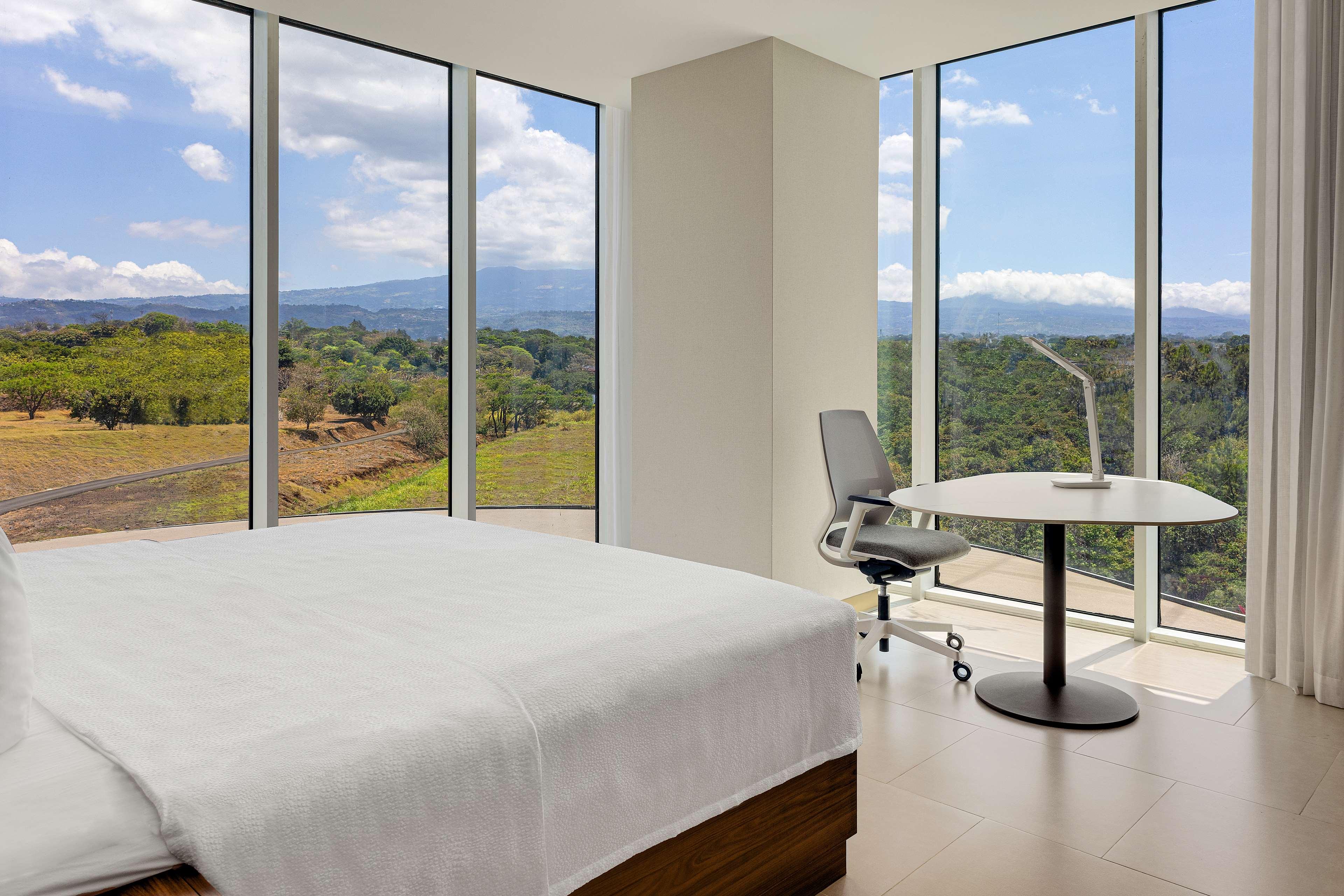 Suite King Bed One Bedroom 