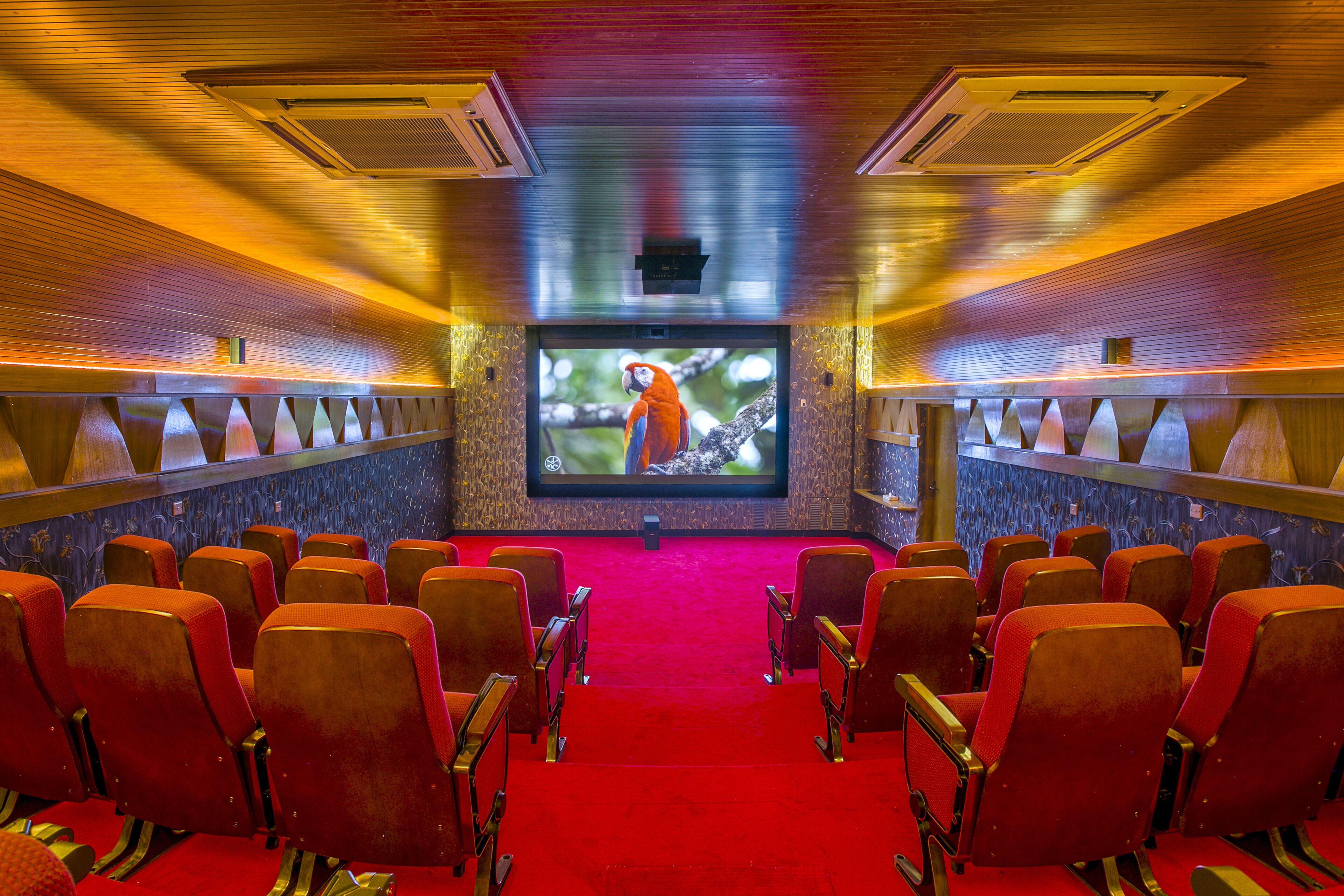 Sports and Entertainment