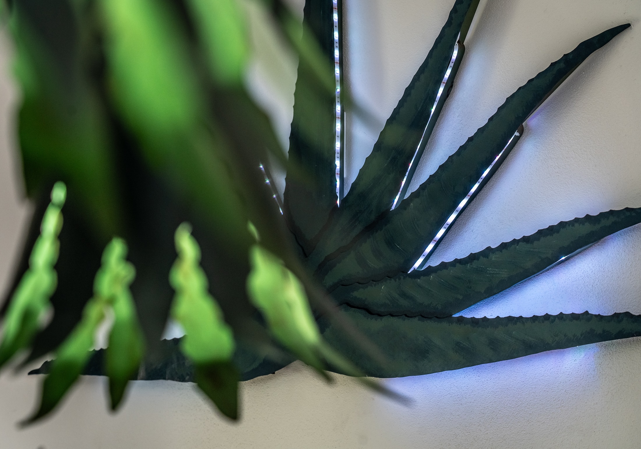 Suite Queen Size Bed