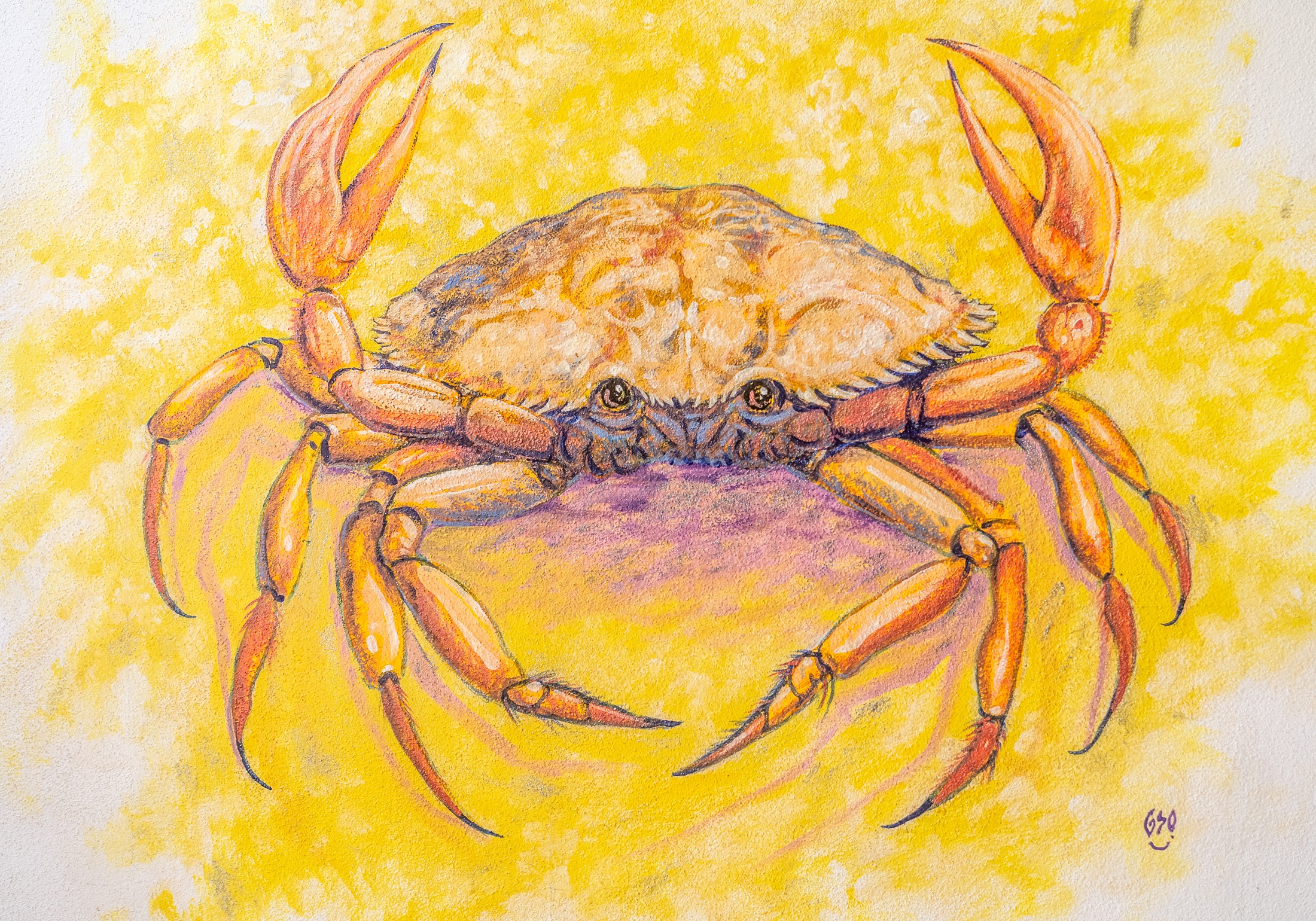 Apartment One Bedroom One Bathroom