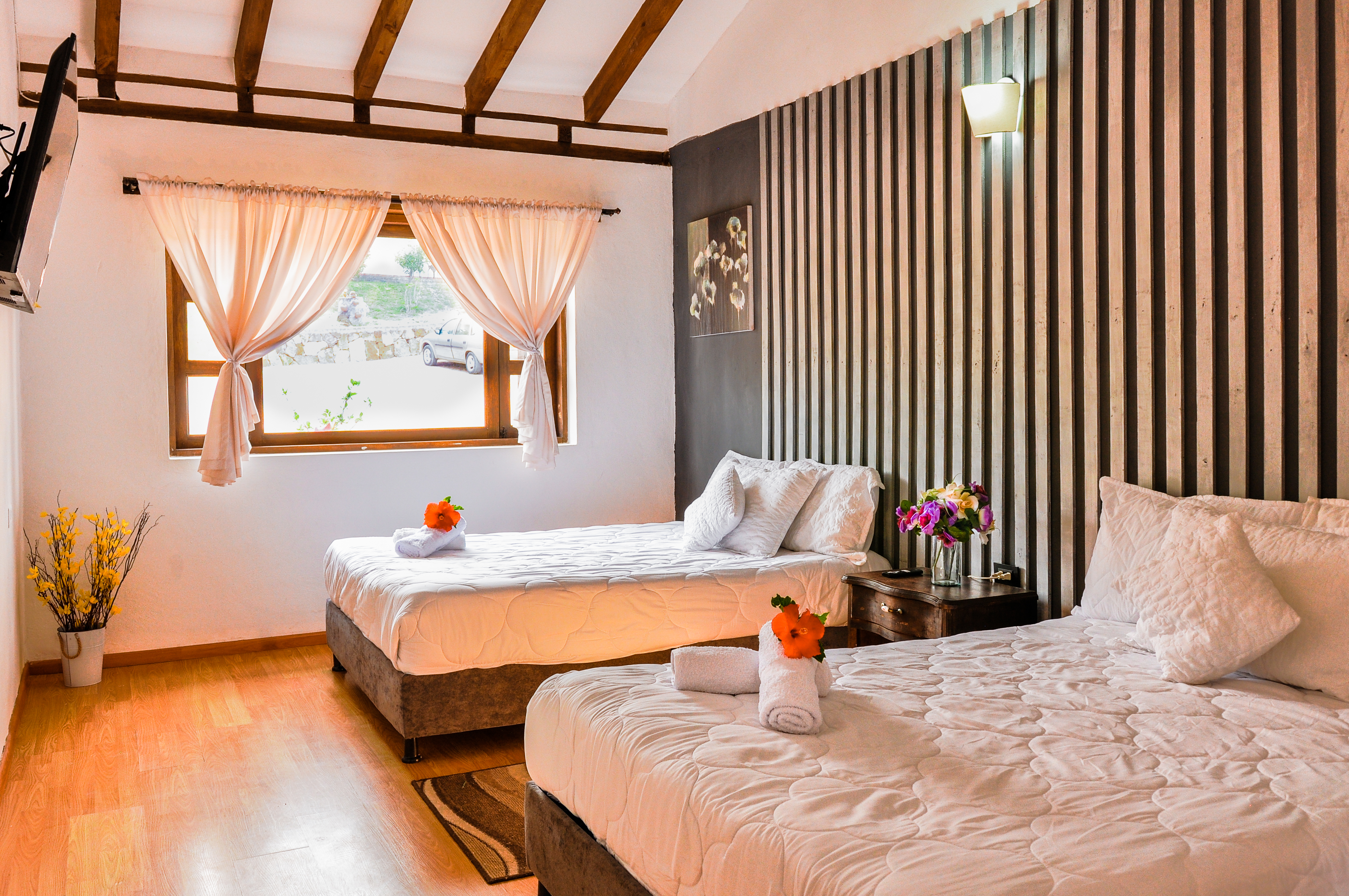 Room Deluxe Two Beds