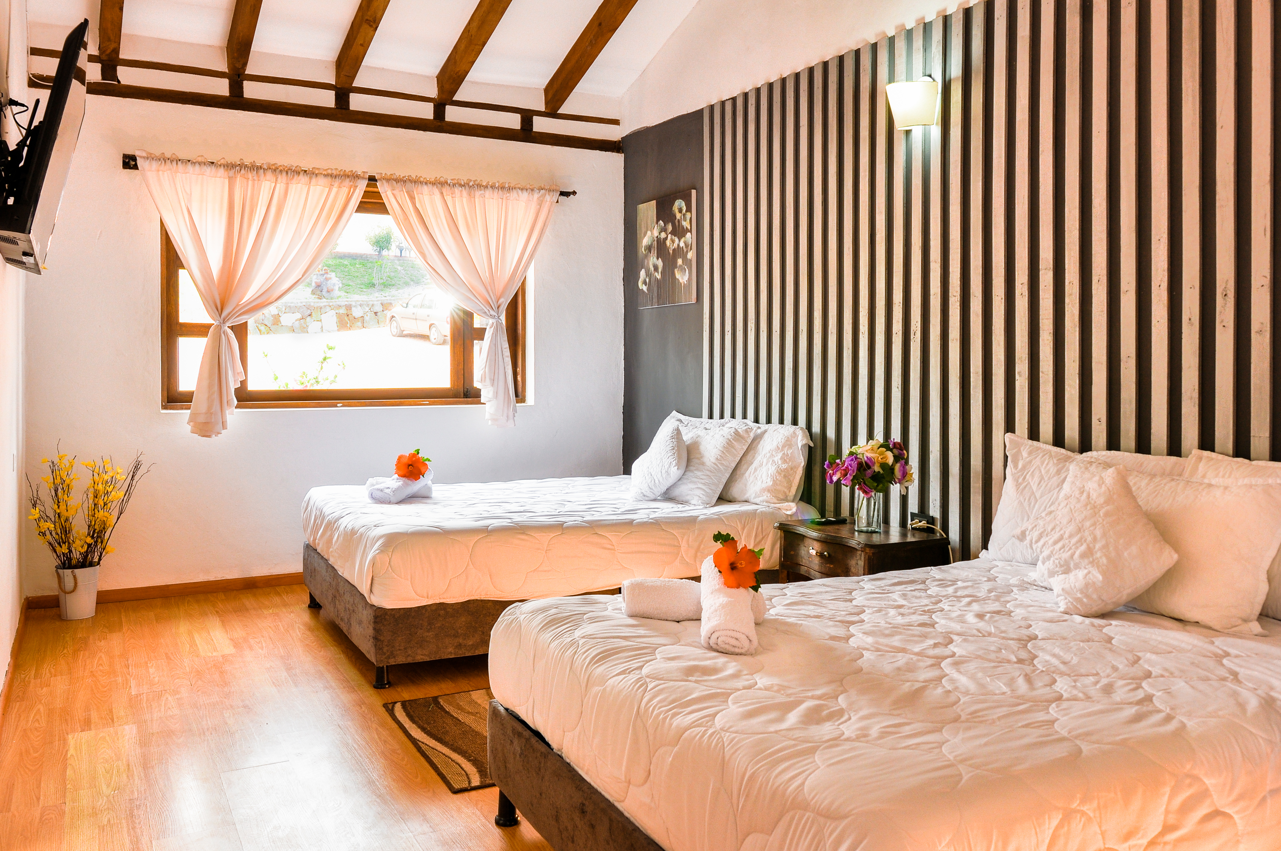 Room Deluxe Two Beds