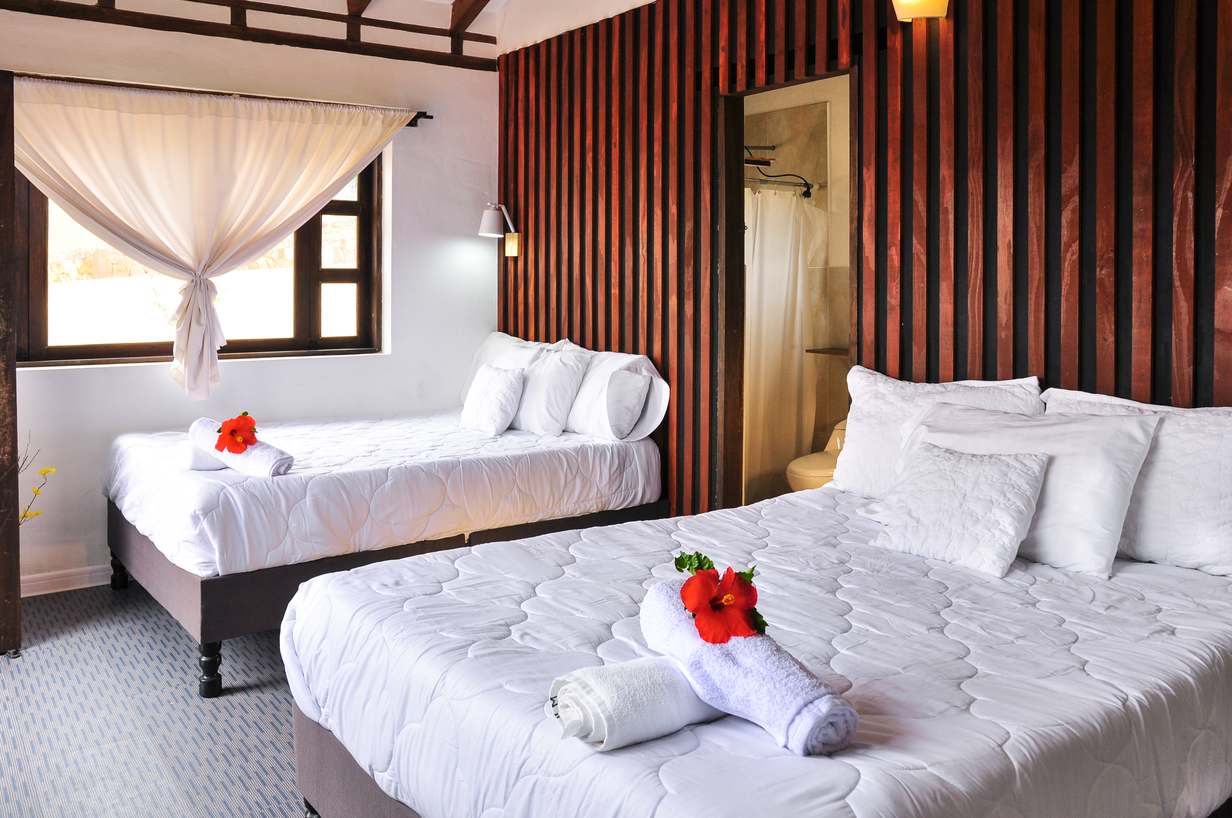 Room Deluxe with Balcony