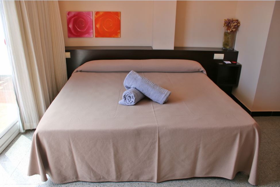 Double or Twin Mountain View