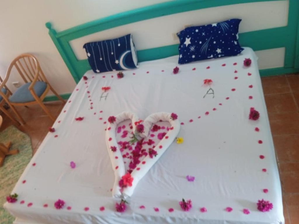 Double or Twin Basic