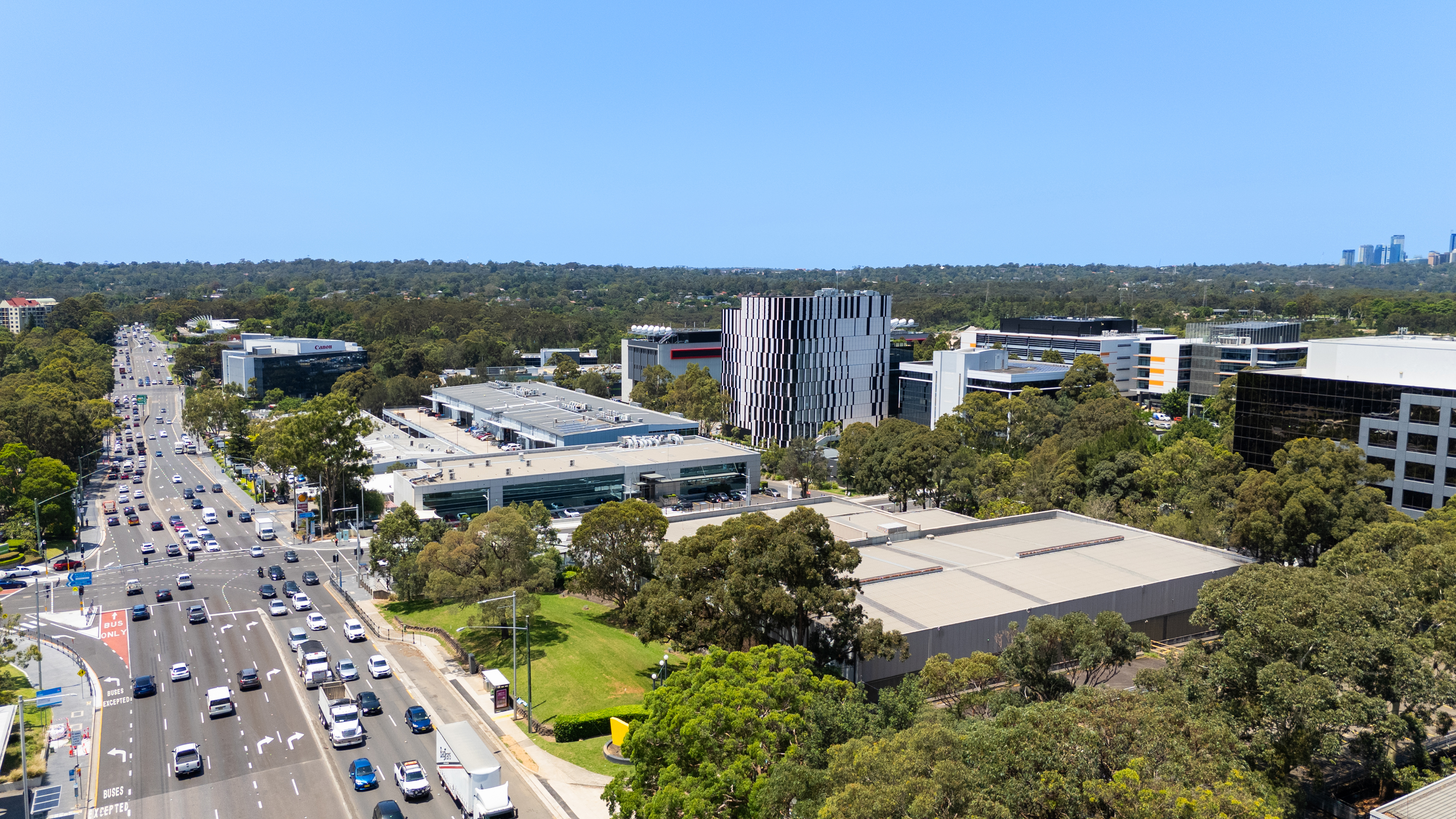 Studio Executive King Bed