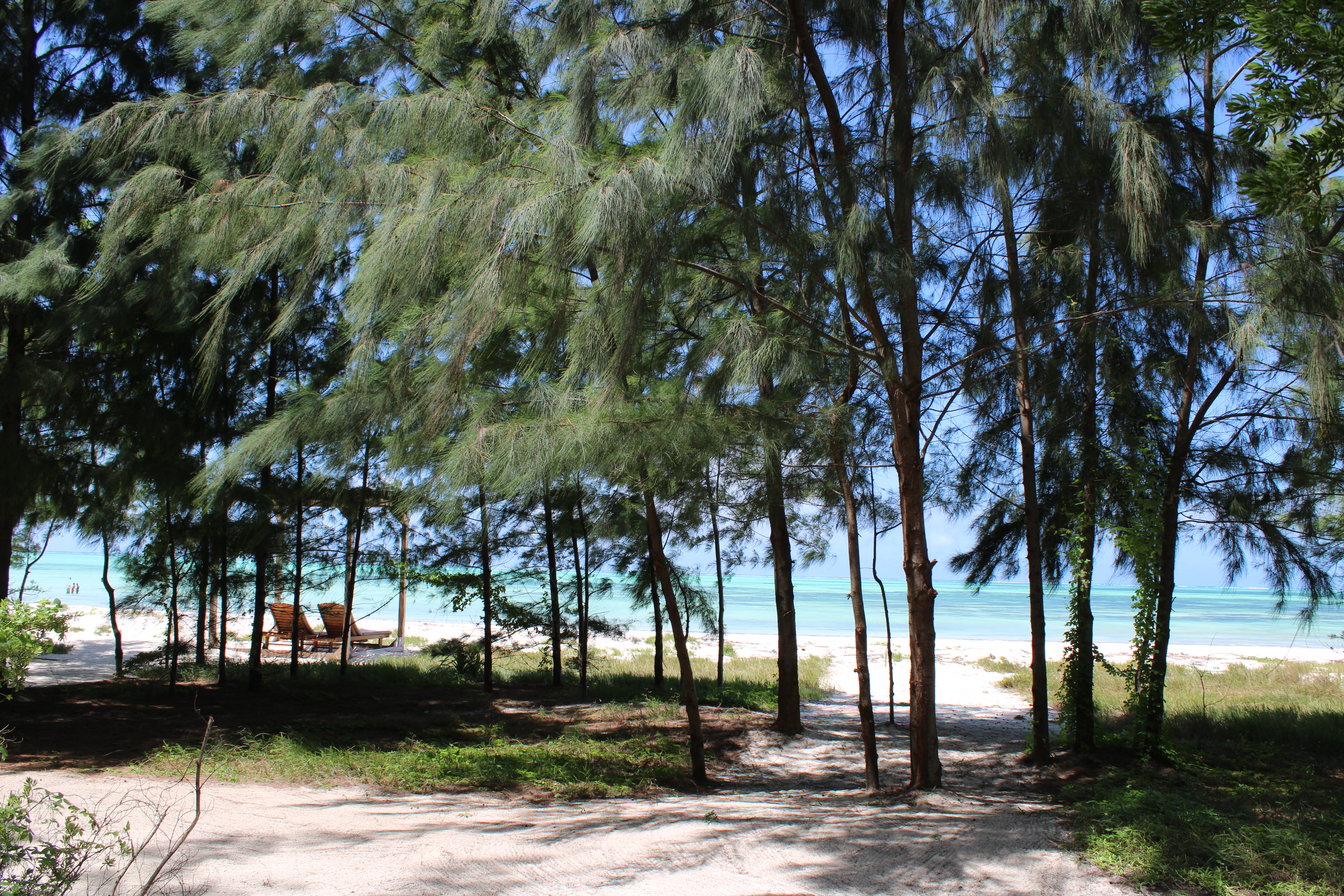 Double or Twin Deluxe Garden View