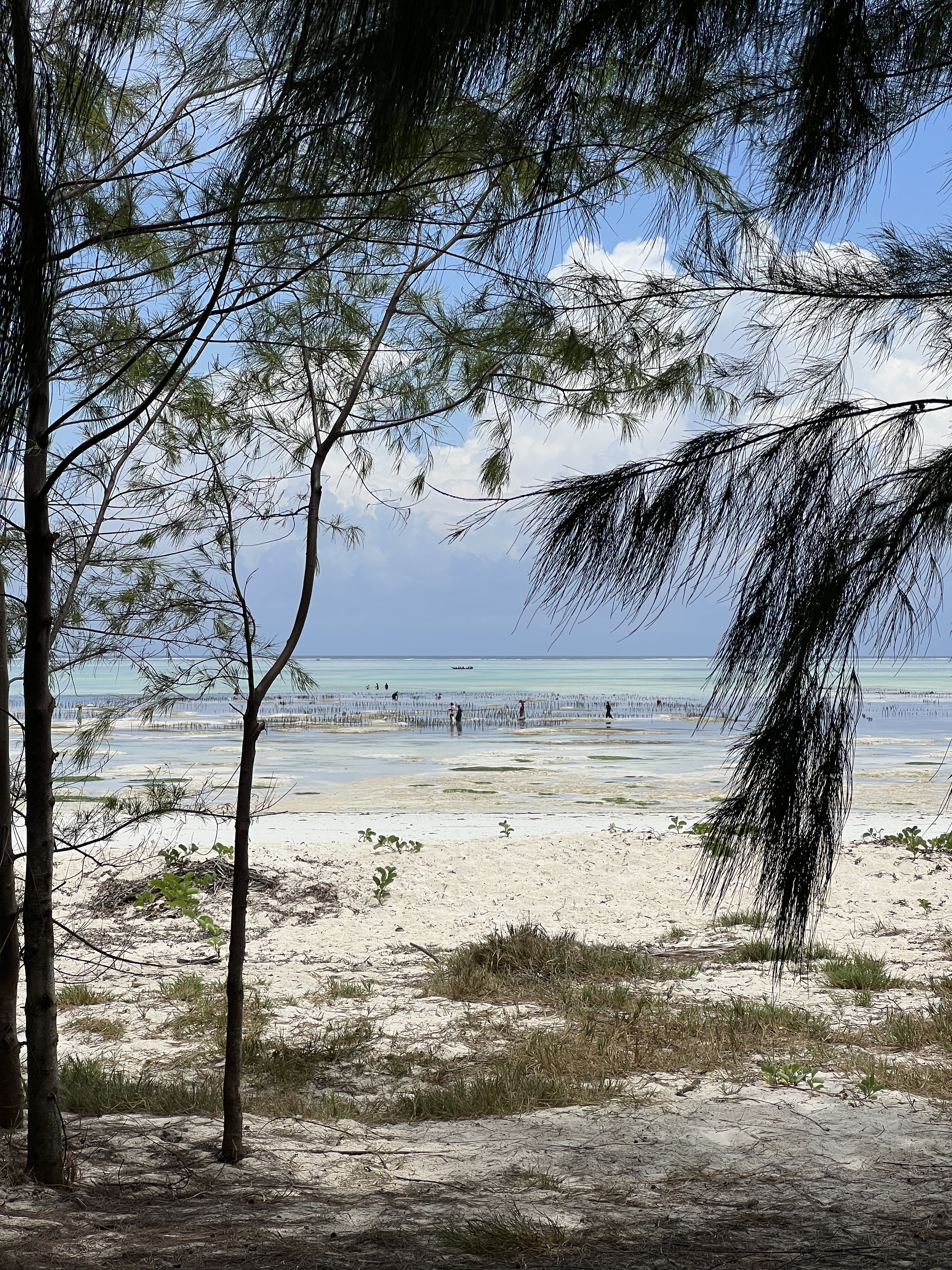 Villa Deluxe Ocean View