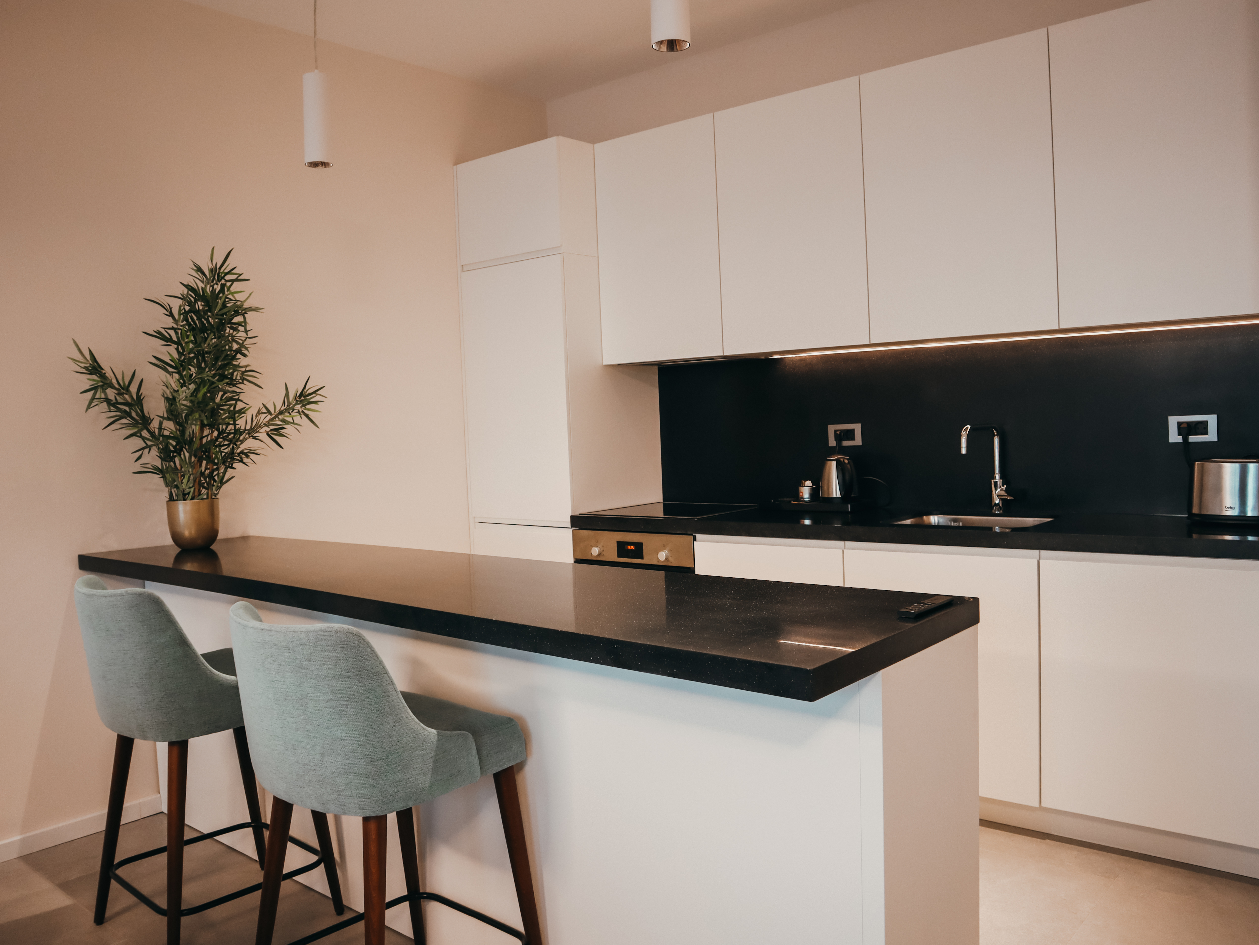 Apartment Presidential with Views