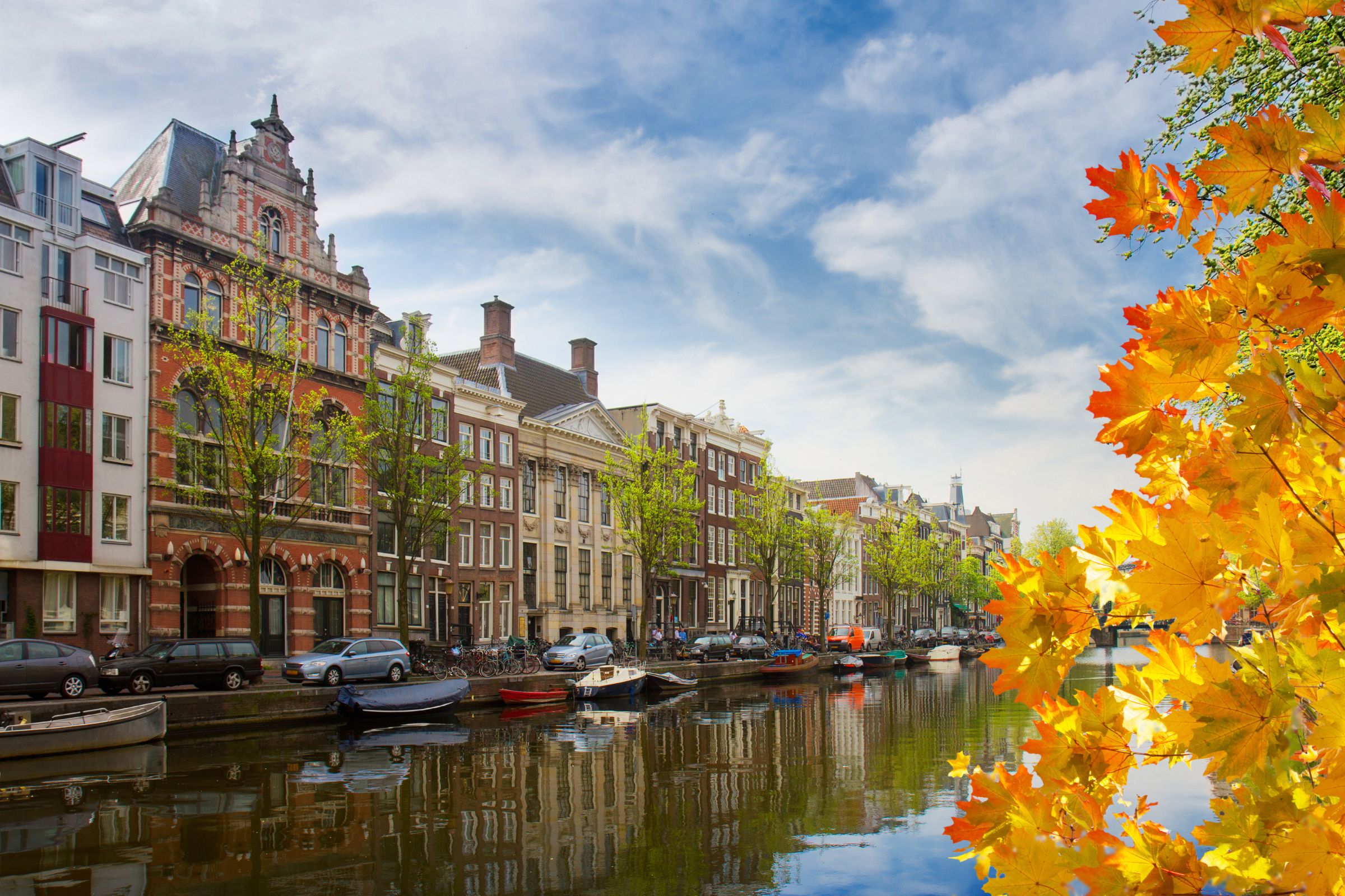 Double or Twin Deluxe