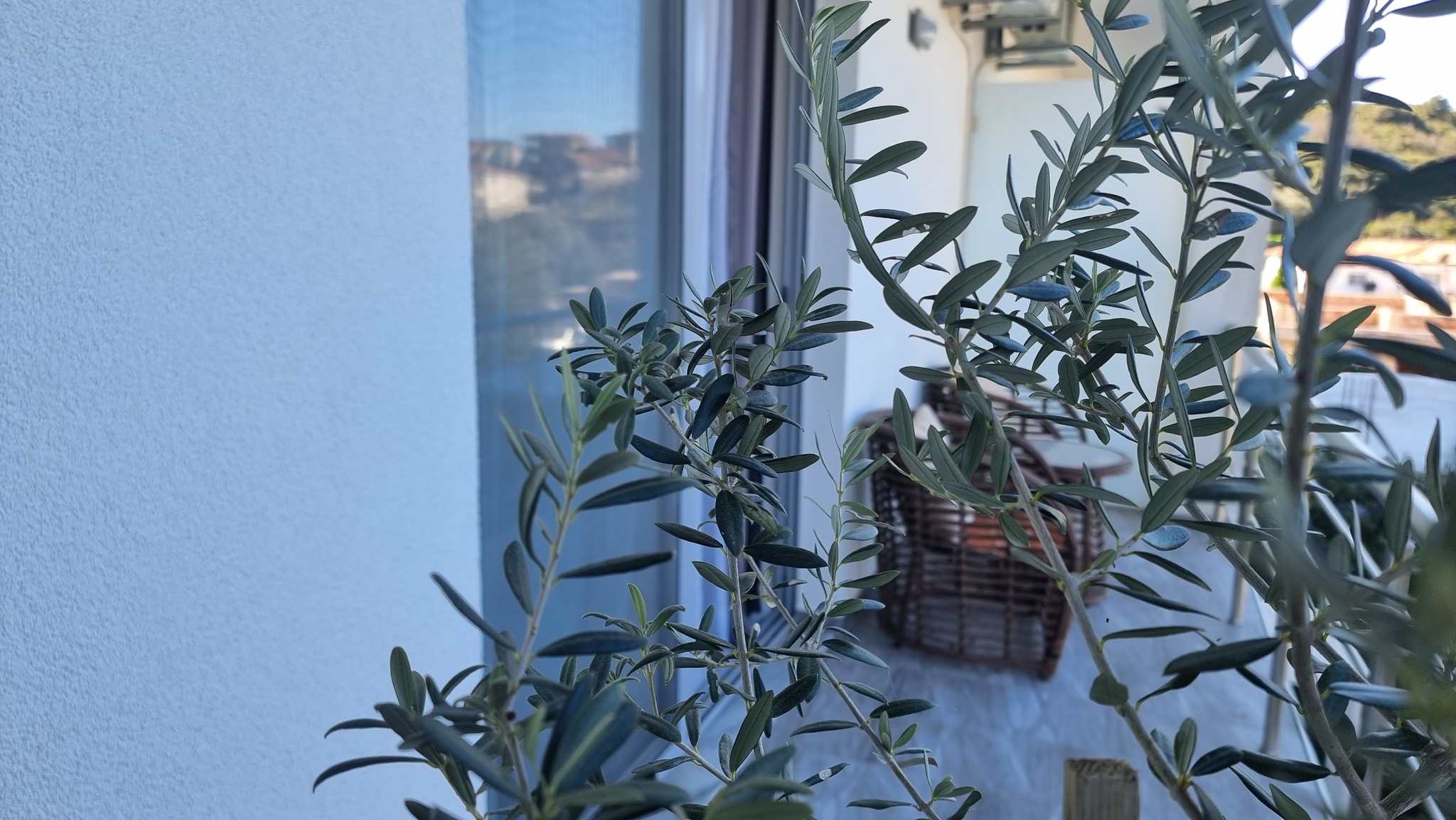 Apartment Garden View One Bedroom