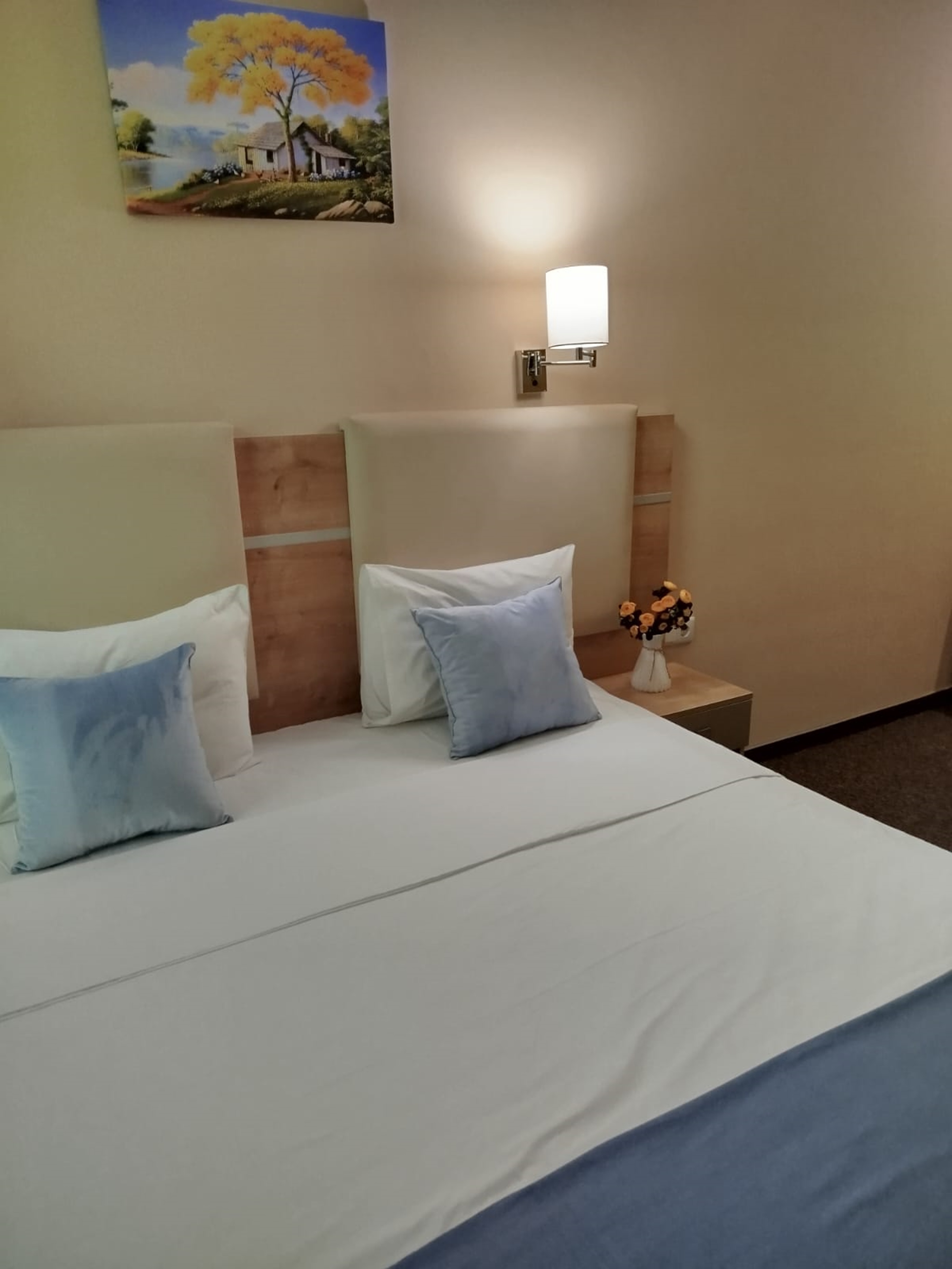 Apartment Deluxe One Bedroom