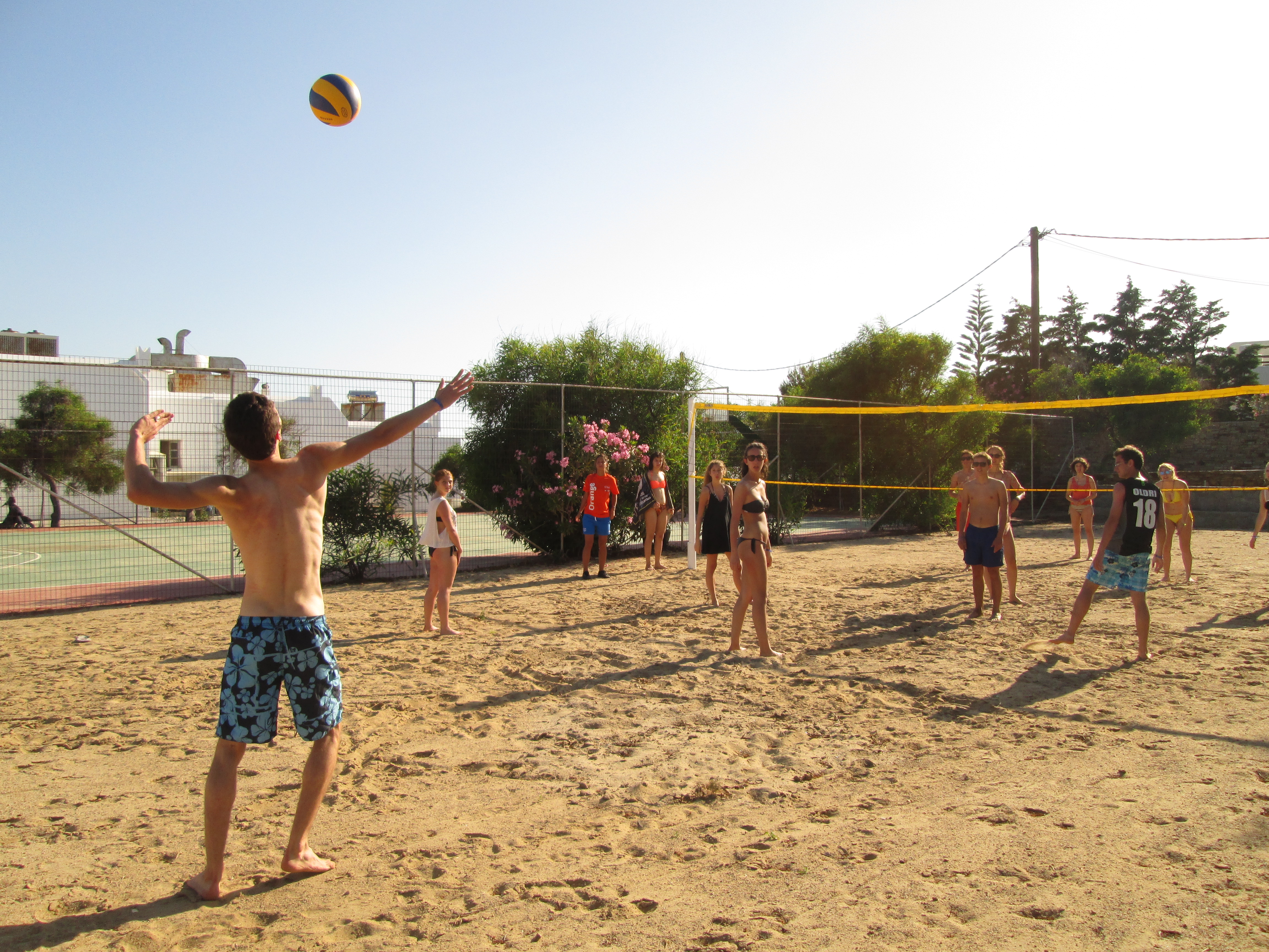 Sports and Entertainment