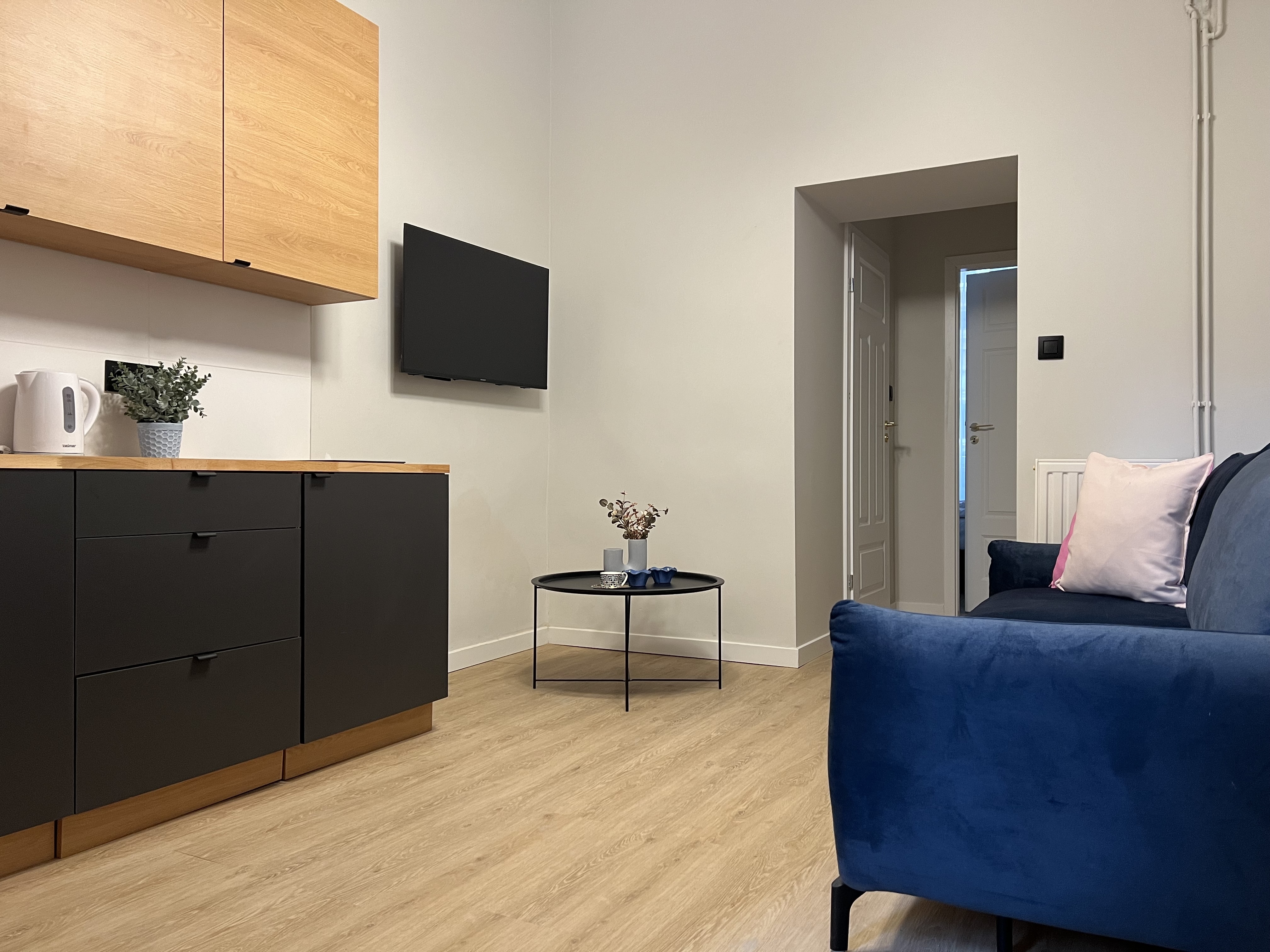 Apartment One Bedroom One Bathroom