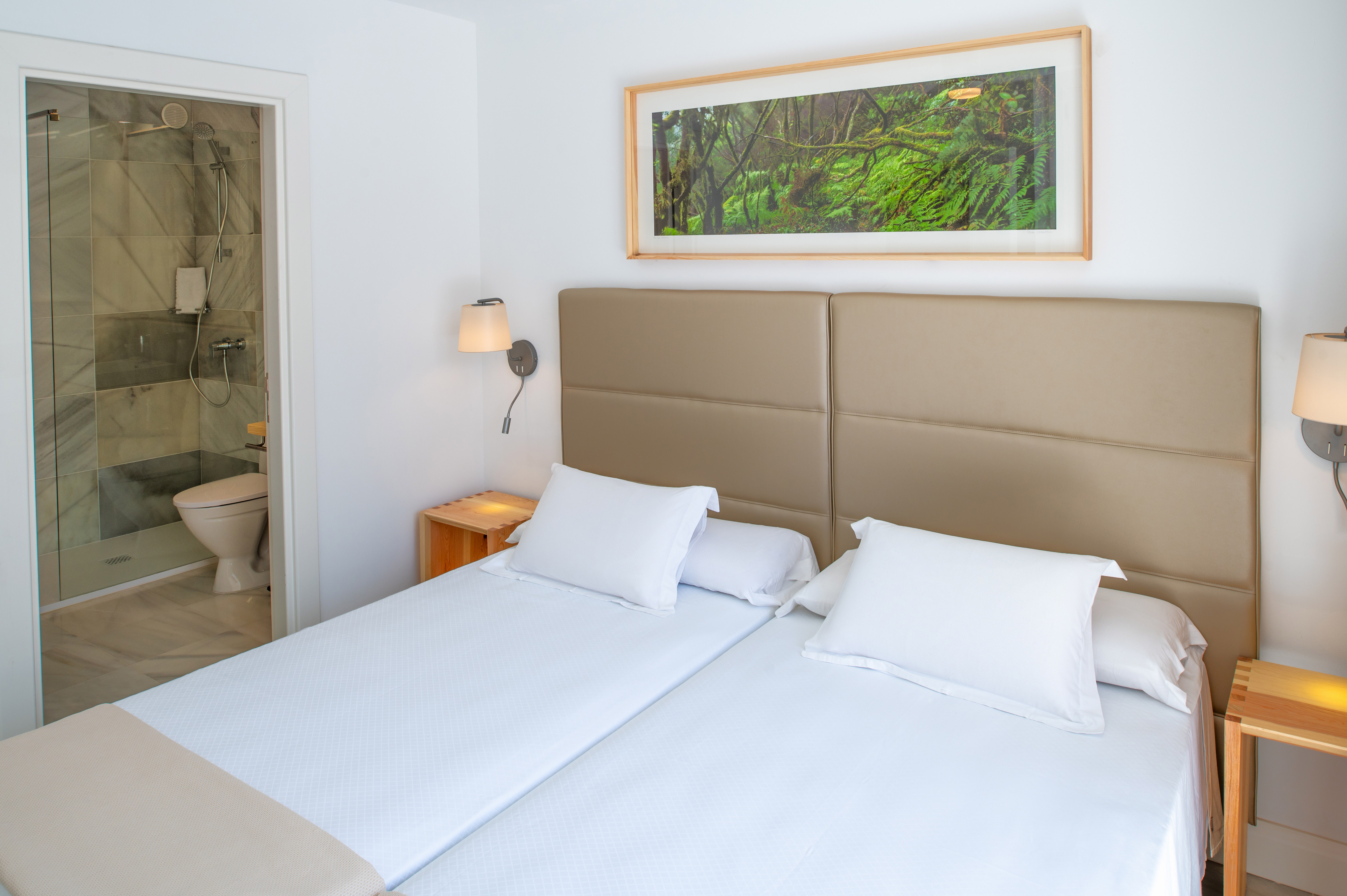 Apartment Superior Two Bedrooms