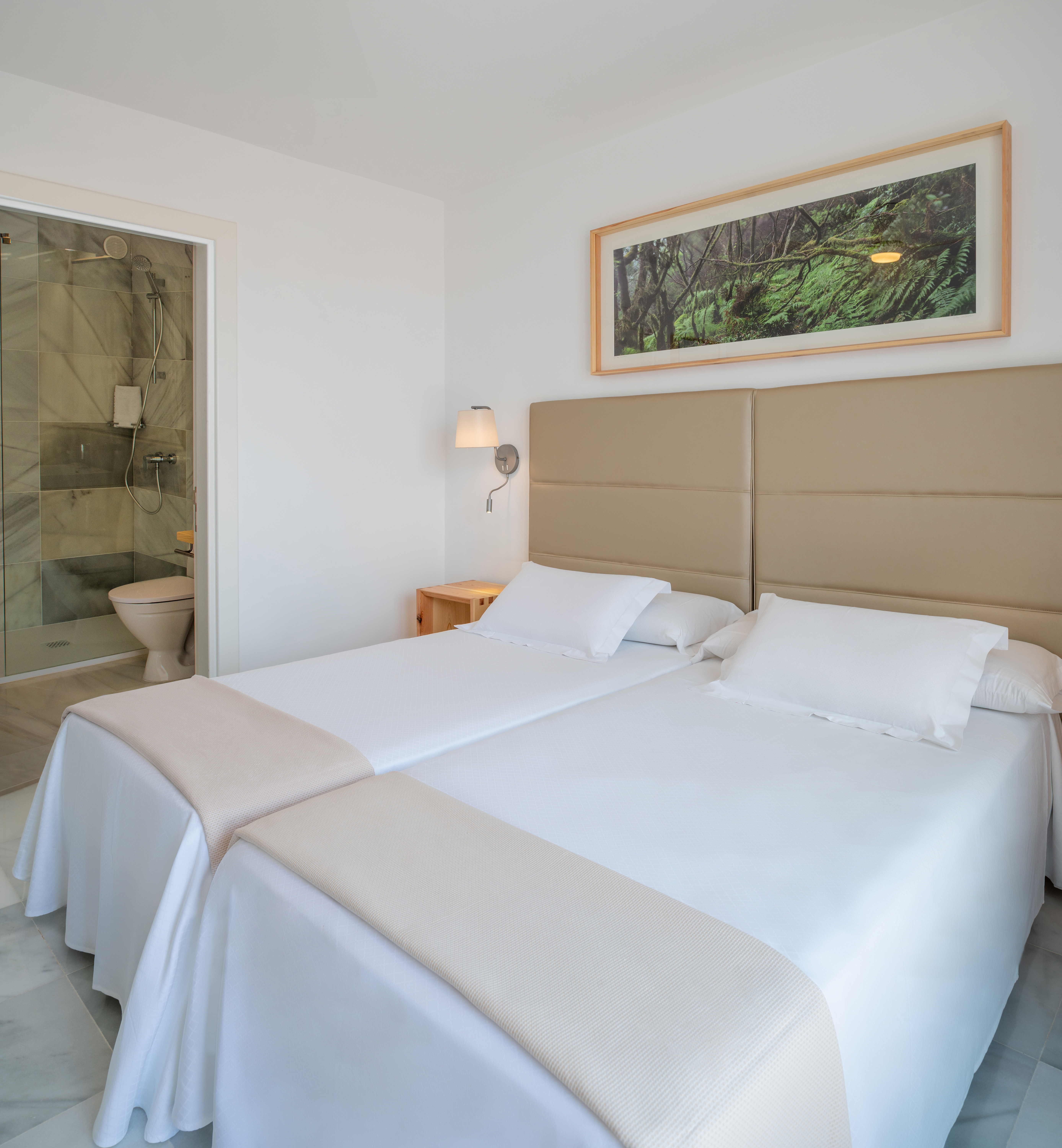 Apartment Superior One Bedroom