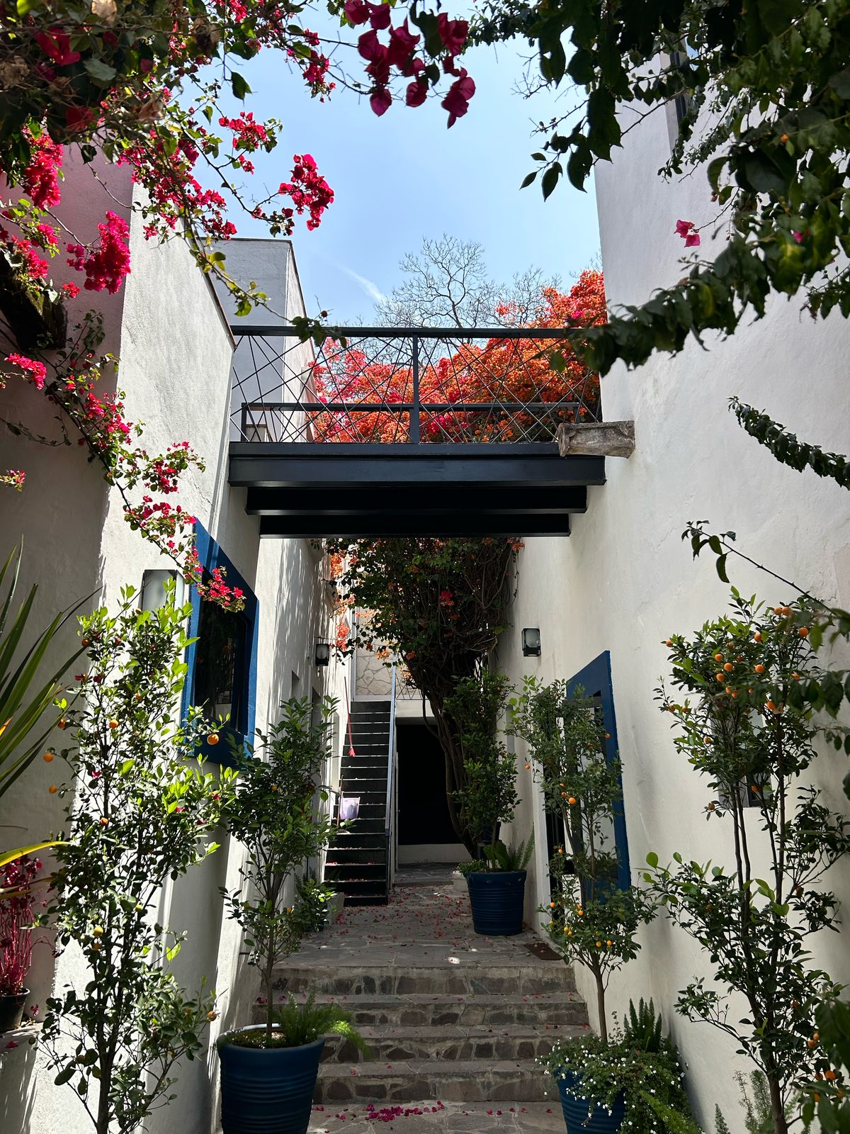 Double Deluxe One Bed