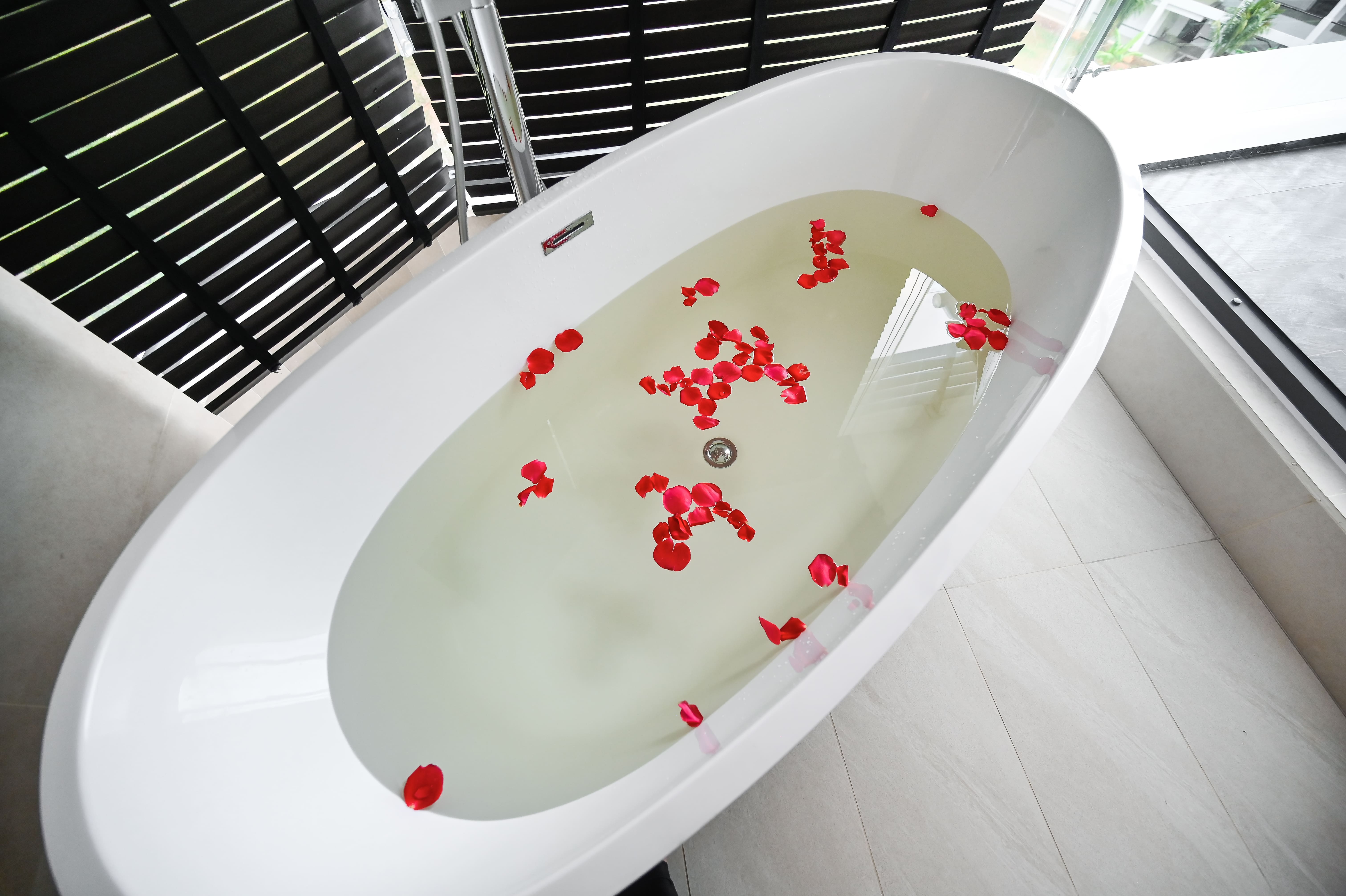 Junior Suite Ocean View King Bed