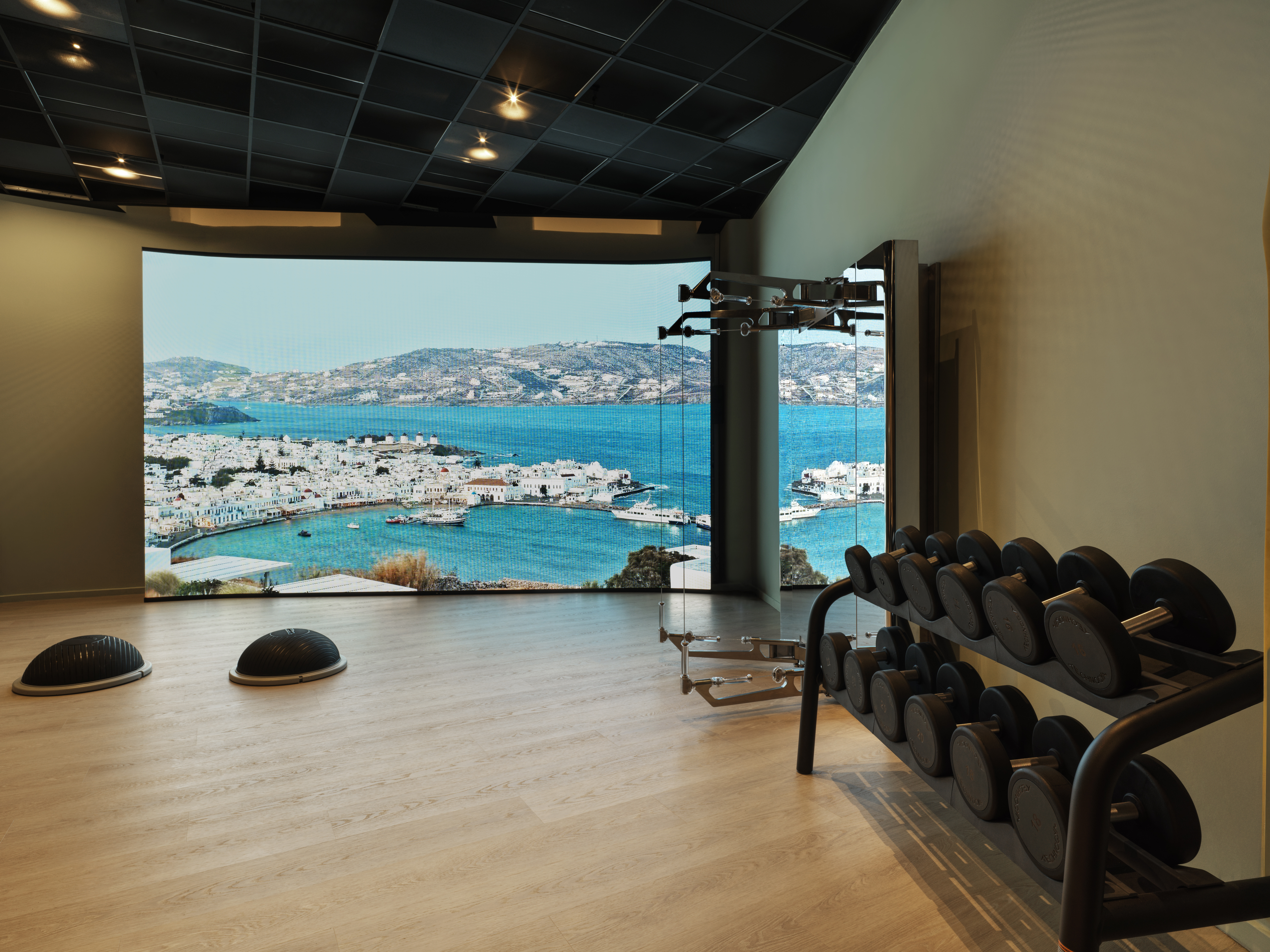 Sports and Entertainment