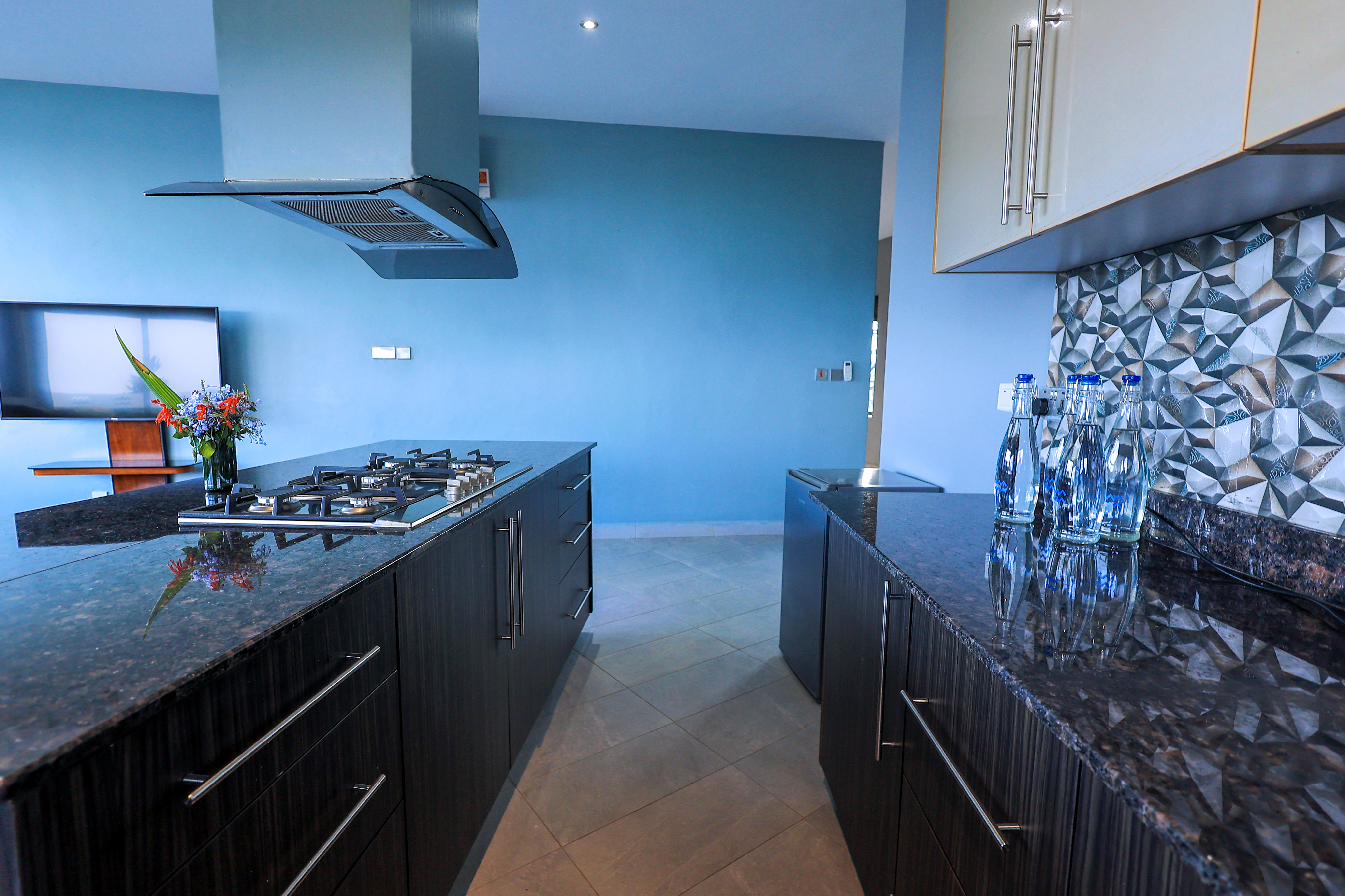 Apartment with Views