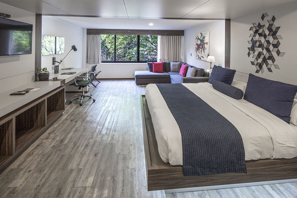 Junior Suite One Bed