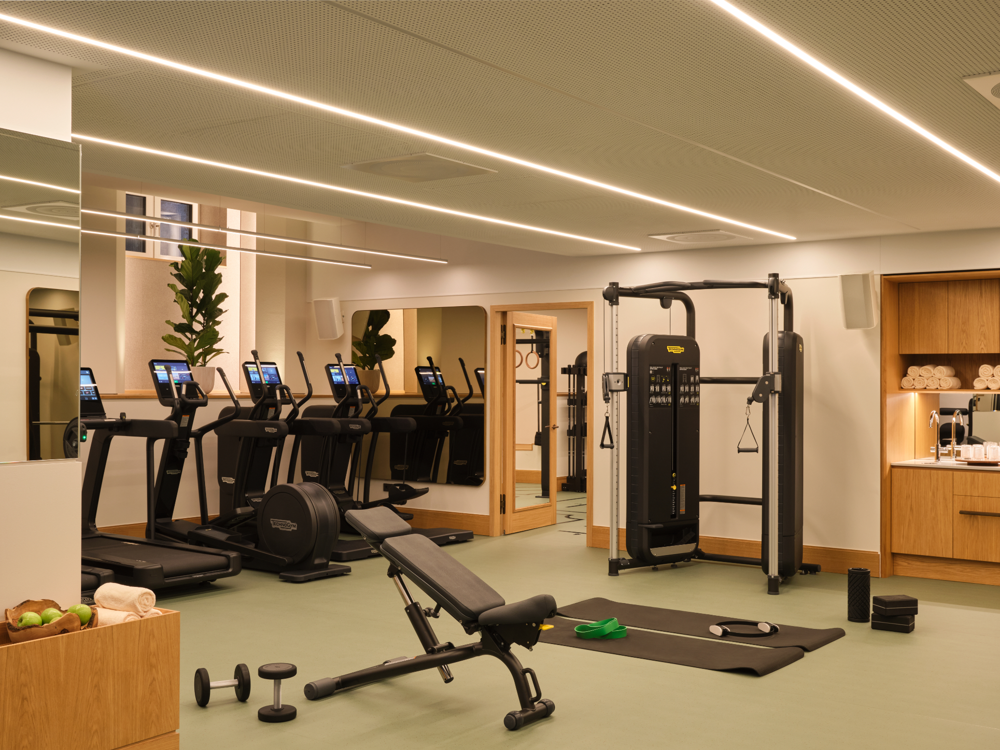 Sports and Entertainment